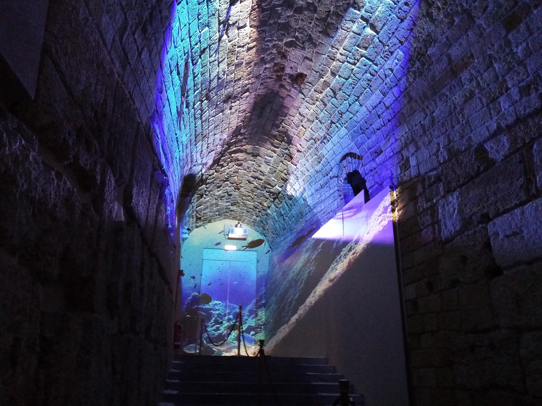 Ingresso alla mostra, corridoio medievale con proiezioni multimediali
