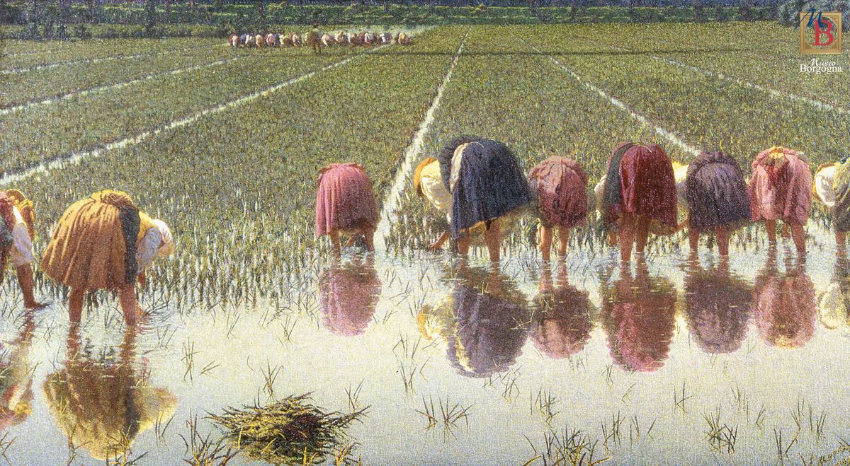 Angelo Morbelli, Per ottanta centesimi! (1895-1897; olio su tela firmato e datato, 67,5 x 121,5 cm; Vercelli, Museo Borgogna)
