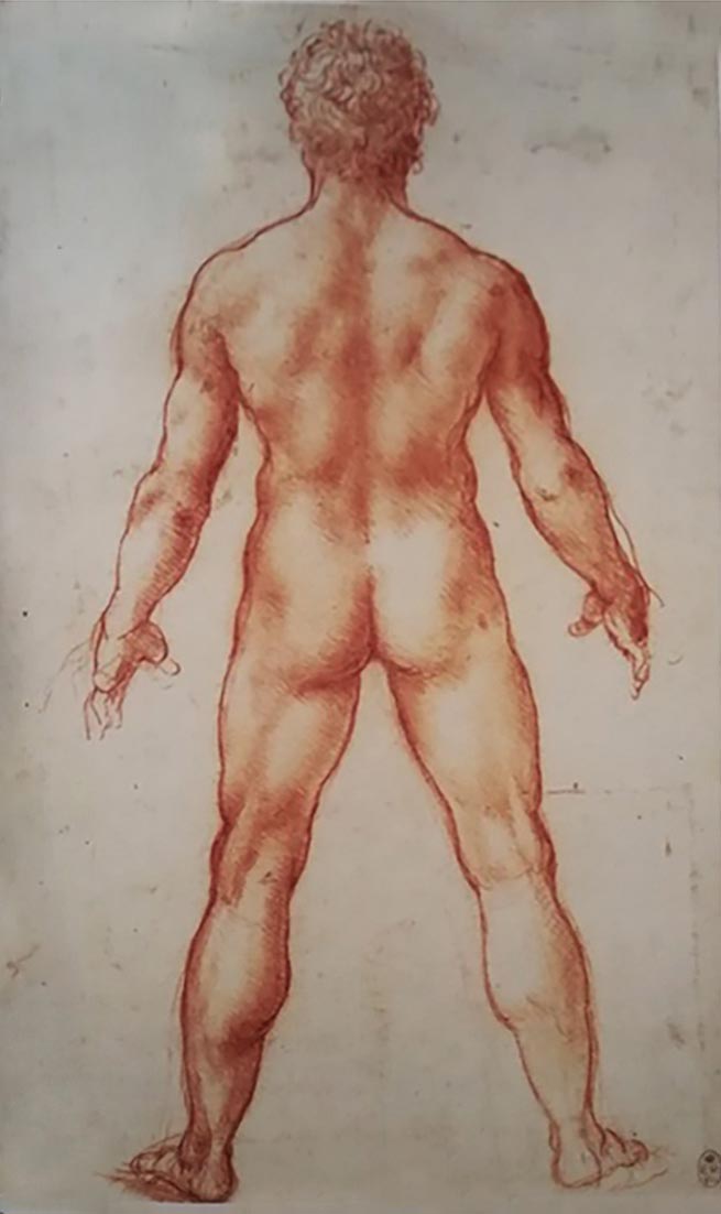 Leonardo, Disegno d'uomo a sanguigna (Londra, Royal Library)
