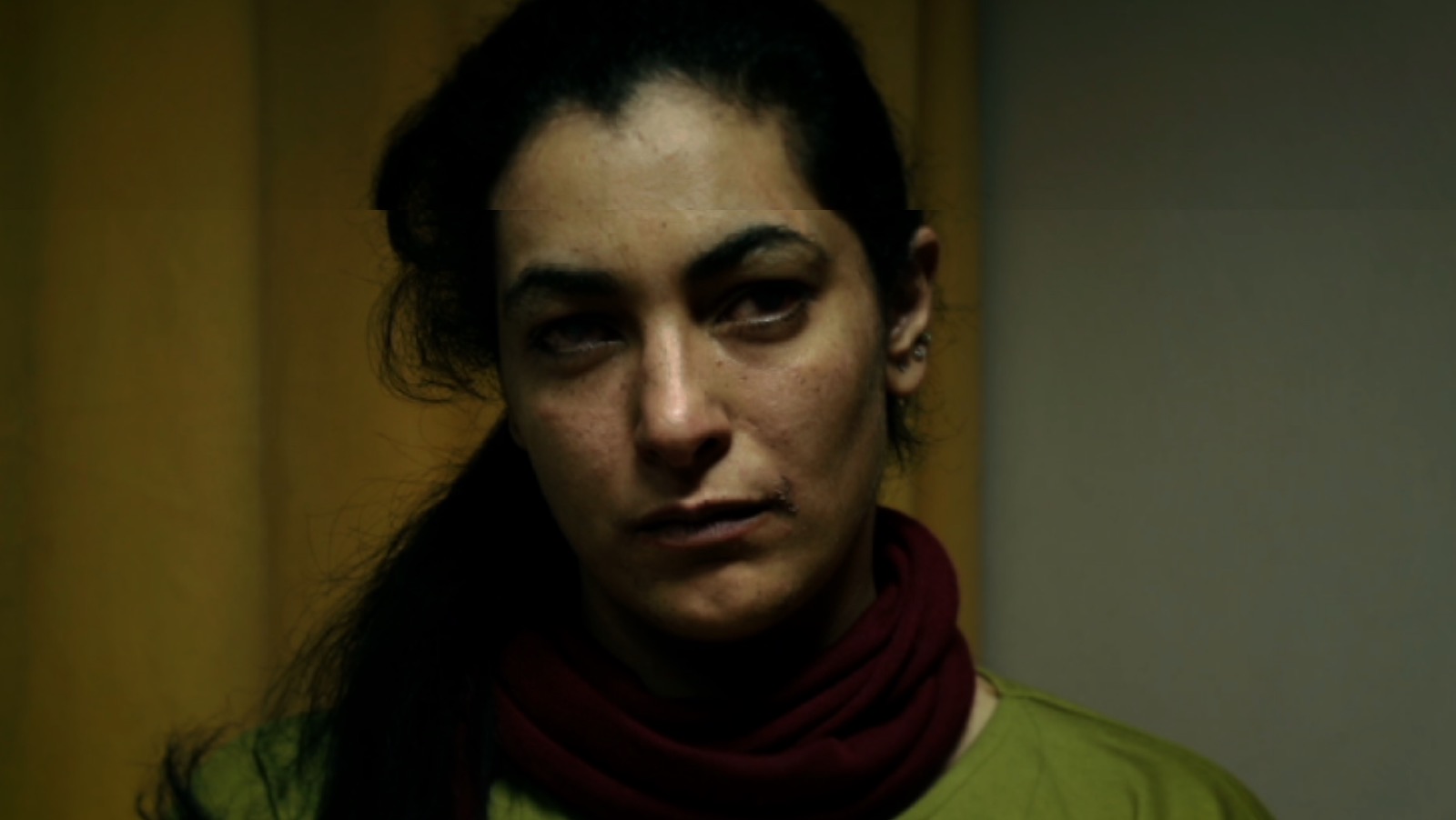 Adrian Paci, Rasha (2017; video a canale singolo, colore, sonoro, durata 20'56)
 Adrian Paci, Rasha (2017; video a canale singolo, colore, sonoro, durata 20'56)