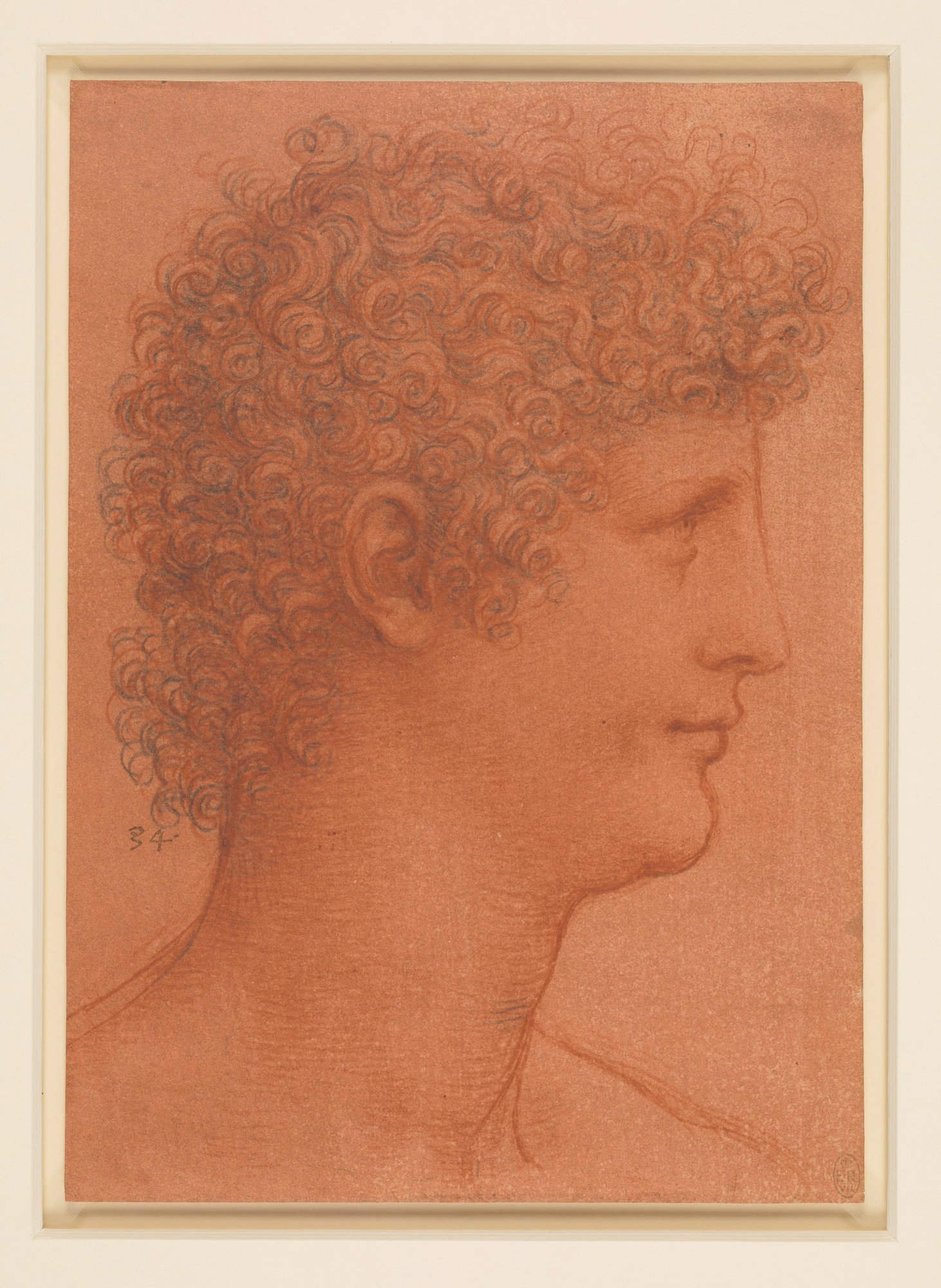 Leonardo da Vinci, Testa di giovane di profilo (1510 circa; gessetto nero e rosso su carta arancione, 217 x 153 mm; Windsor, Royal Collection, inv. RCIN 912554)
 Leonardo da Vinci, Testa di giovane di profilo (1510 circa; gessetto nero e rosso su carta arancione, 217 x 153 mm; Windsor, Royal Collection, inv. RCIN 912554)