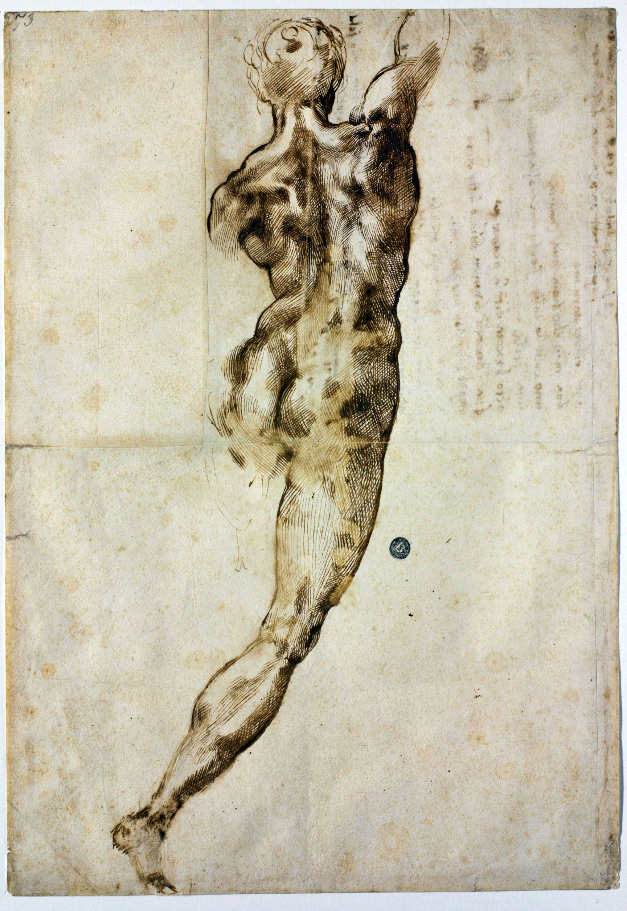 Michelangelo, Nudo di schiena (1504-1505 circa; penna e tracce di matita nera, 408 x 284 mm; Firenze, Casa Buonarroti, inv. 73 F)
