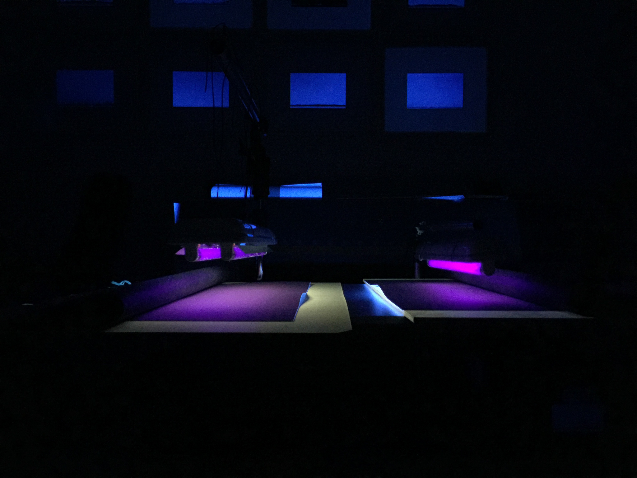 Lo studio di Luca Lupi
