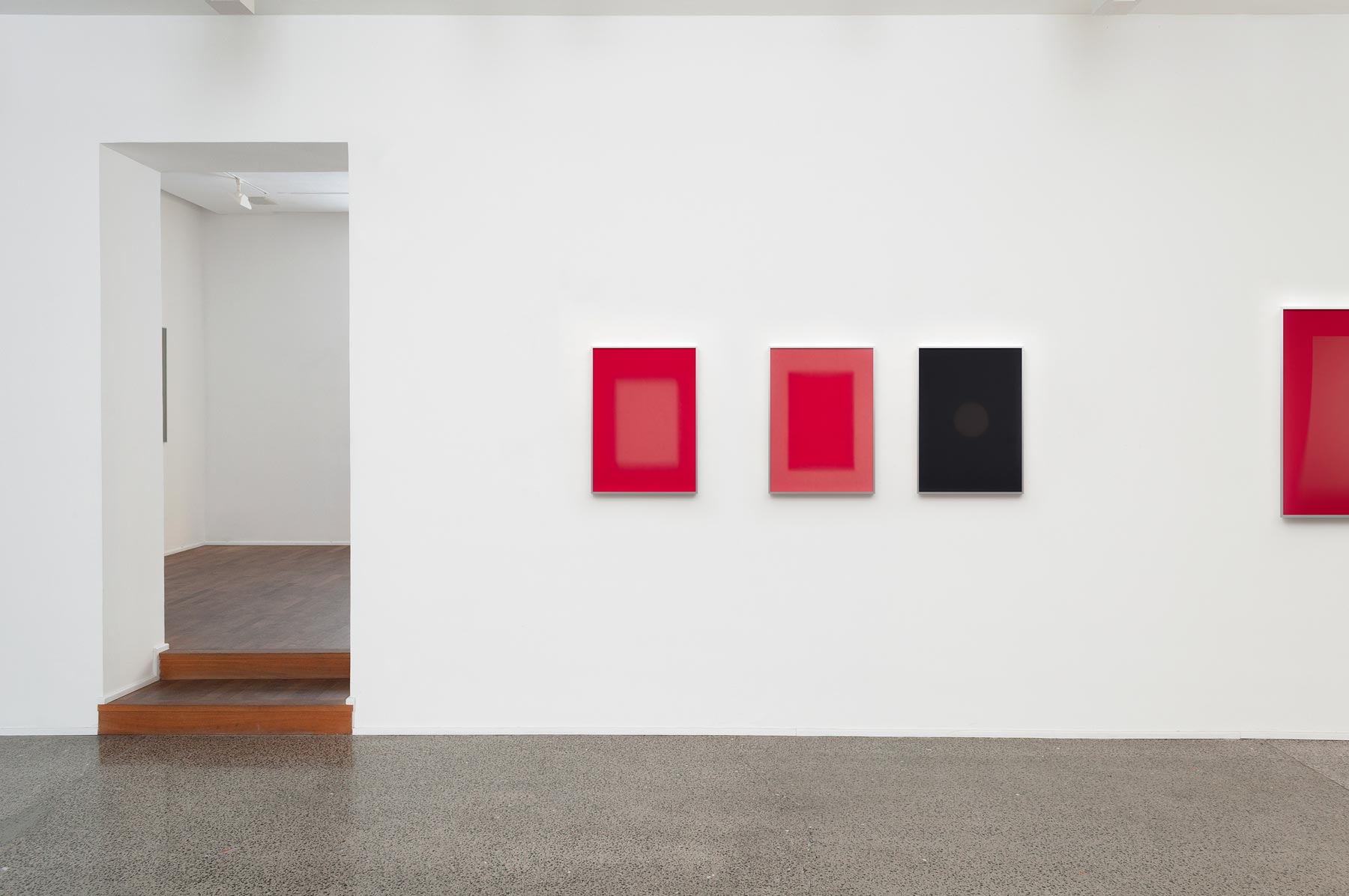 Mostra Luca Lupi. Esposizioni (Sarzana, Cardelli & Fontana, dal 10 aprile al 15 maggio 2021), foto dell'allestimento
