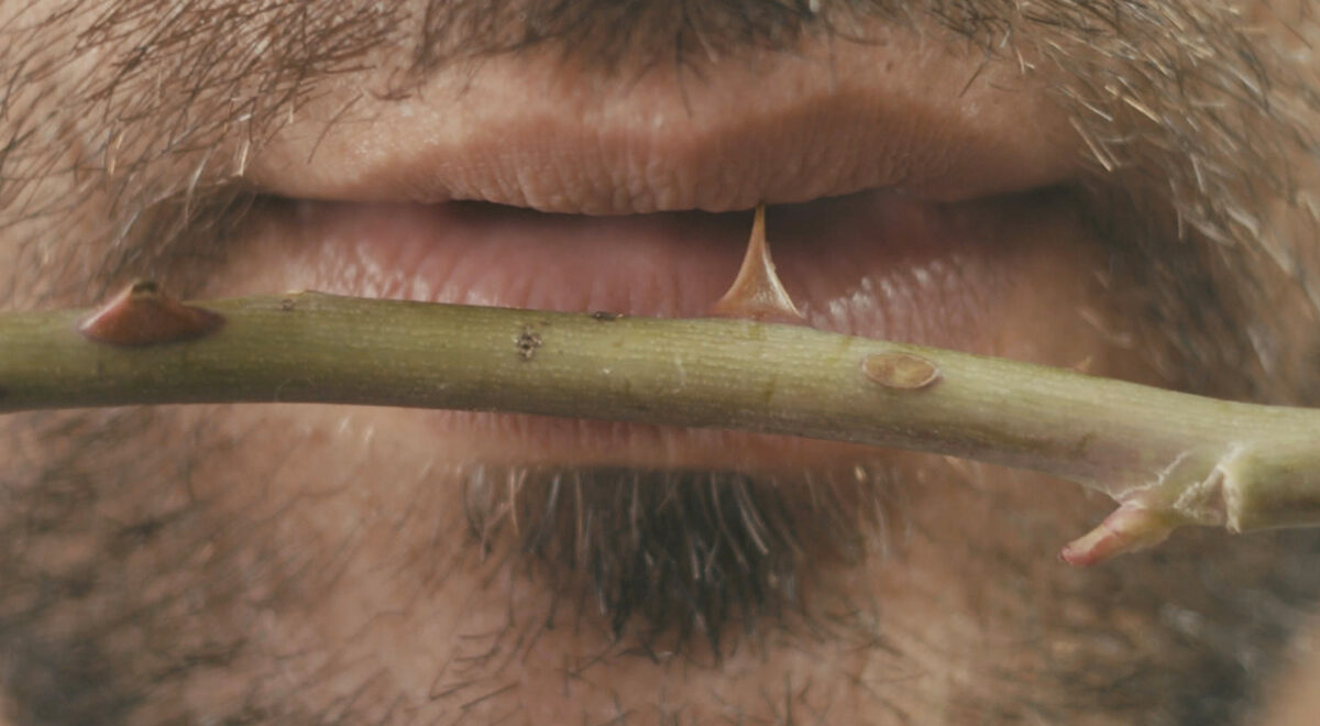 Silvia Giambrone, un fotogramma di Domestication (2020)
