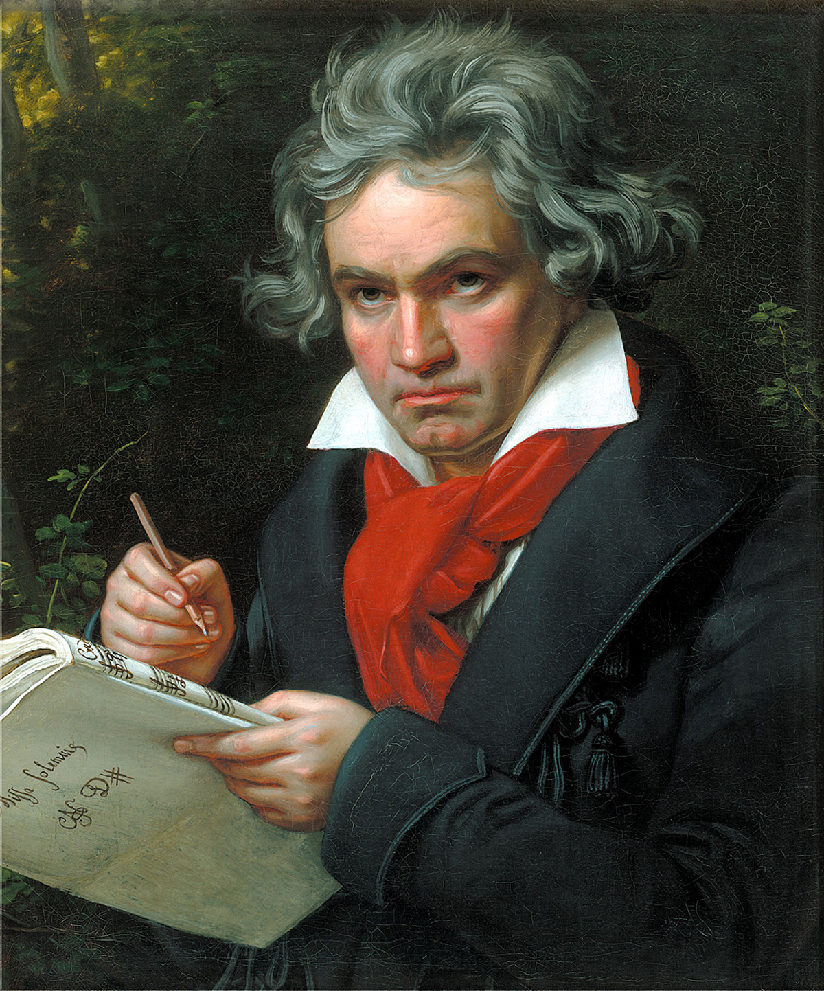 Joseph Karl Stieler, Ritratto di Ludwig van Beethoven (1820; olio su tela, 62 x 50 cm; Bonn, Beethoven-Haus). Opera non esposta a Rovigo
 Joseph Karl Stieler, Ritratto di Ludwig van Beethoven (1820; olio su tela, 62 x 50 cm; Bonn, Beethoven-Haus). Opera non esposta a Rovigo