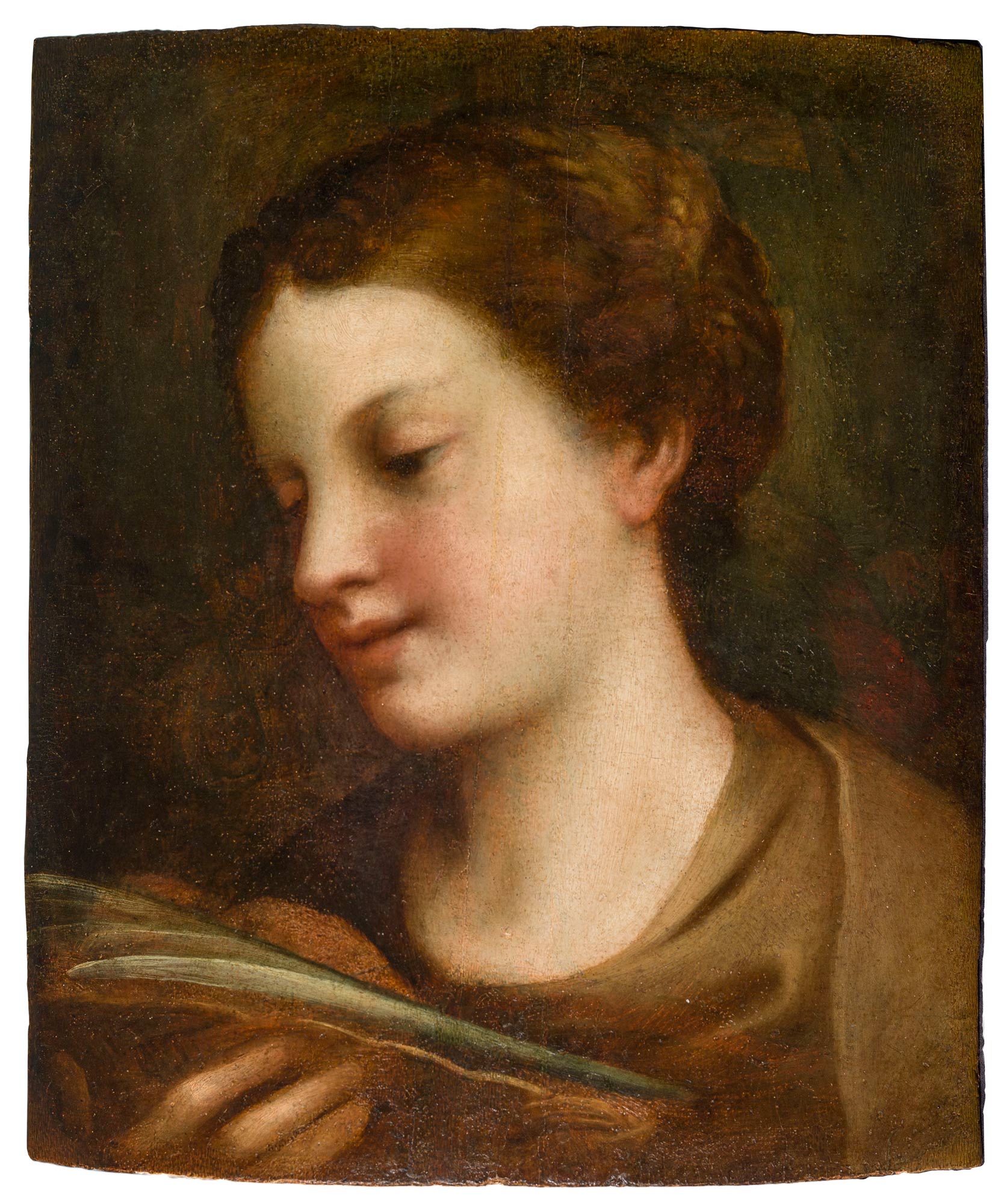 Antonio Allegri detto il Correggio, Sant’Agata (1523-1524; olio su tavola 29 x 34; Museo di Correggio). Il risultato dell’accuratissimo intervento di Pinin Brambilla Barcilon ha ridonato, secondo le parole della taumaturgica restauratrice, la tenera morbidezza del volto e la meraviglia dei capelli: tutte qualità peculiari della “divina” mano allegriana. La Santa qui appare in una visione mistica, mentre osserva le due mammelle che le furono tagliate, protagoniste del suo martirio e simboli della sua gloria.
 Antonio Allegri detto il Correggio, Sant’Agata (1523-1524; olio su tavola 29 x 34; Correggio, Museo Civico). Il risultato dell’accuratissimo intervento di Pinin Brambilla Barcilon ha ridonato, secondo le parole della taumaturgica restauratrice, la tenera morbidezza del volto e la meraviglia dei capelli: tutte qualità peculiari della “divina” mano allegriana. La Santa qui appare in una visione mistica, mentre osserva le due mammelle che le furono tagliate, protagoniste del suo martirio e simboli della sua gloria.