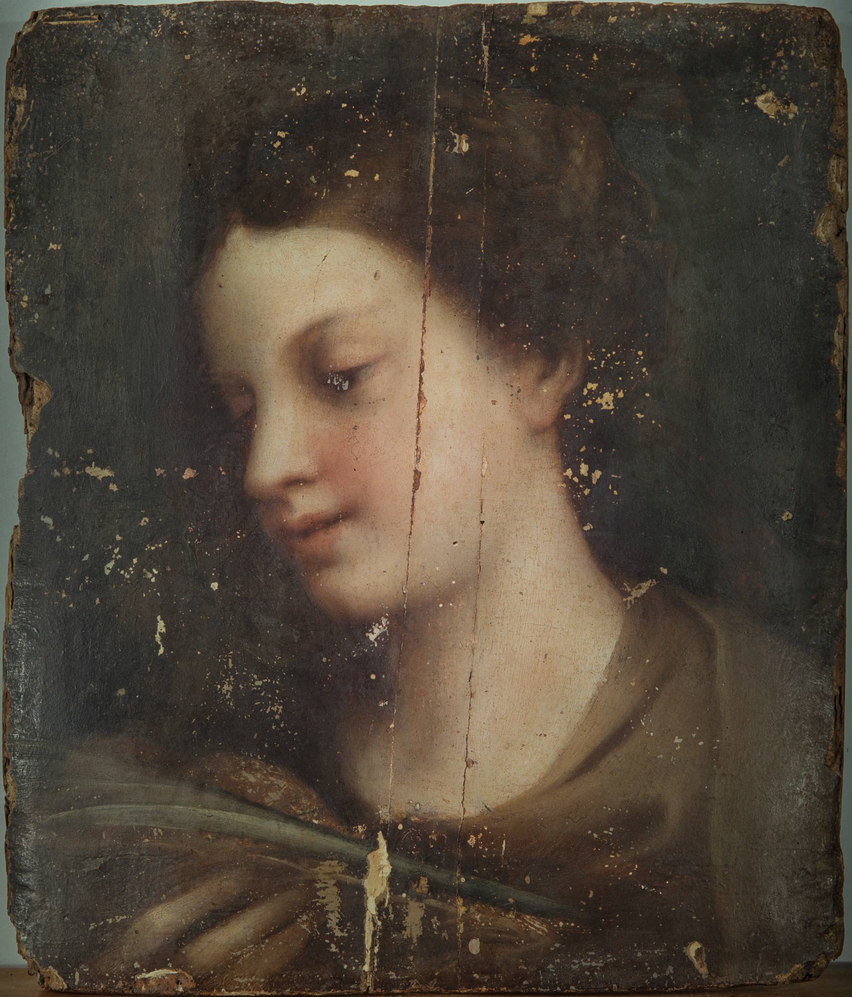 La tavoletta con la testa e il busto della Sant’Agata, al momento nel quale Dario Fo la vide presso una famiglia di Fano (2004). Vi sono evidenti le traversie dei secoli trascorsi. D’altra parte la famiglia aveva conservato gelosamente la memoria del ritorno dall’Inghilterra a fine ottocento di questo piccolo dipinto, sin d’allora noto come opera del Correggio. Dario, artista egli stesso, ne fu entusiasta e ne procurò un restauro di altissima classe.
 La tavoletta con la testa e il busto della Sant’Agata, al momento nel quale Dario Fo la vide presso una famiglia di Fano (2004). Vi sono evidenti le traversie dei secoli trascorsi. D’altra parte la famiglia aveva conservato gelosamente la memoria del ritorno dall’Inghilterra a fine ottocento di questo piccolo dipinto, sin d’allora noto come opera del Correggio. Dario, artista egli stesso, ne fu entusiasta e ne procurò un restauro di altissima classe.