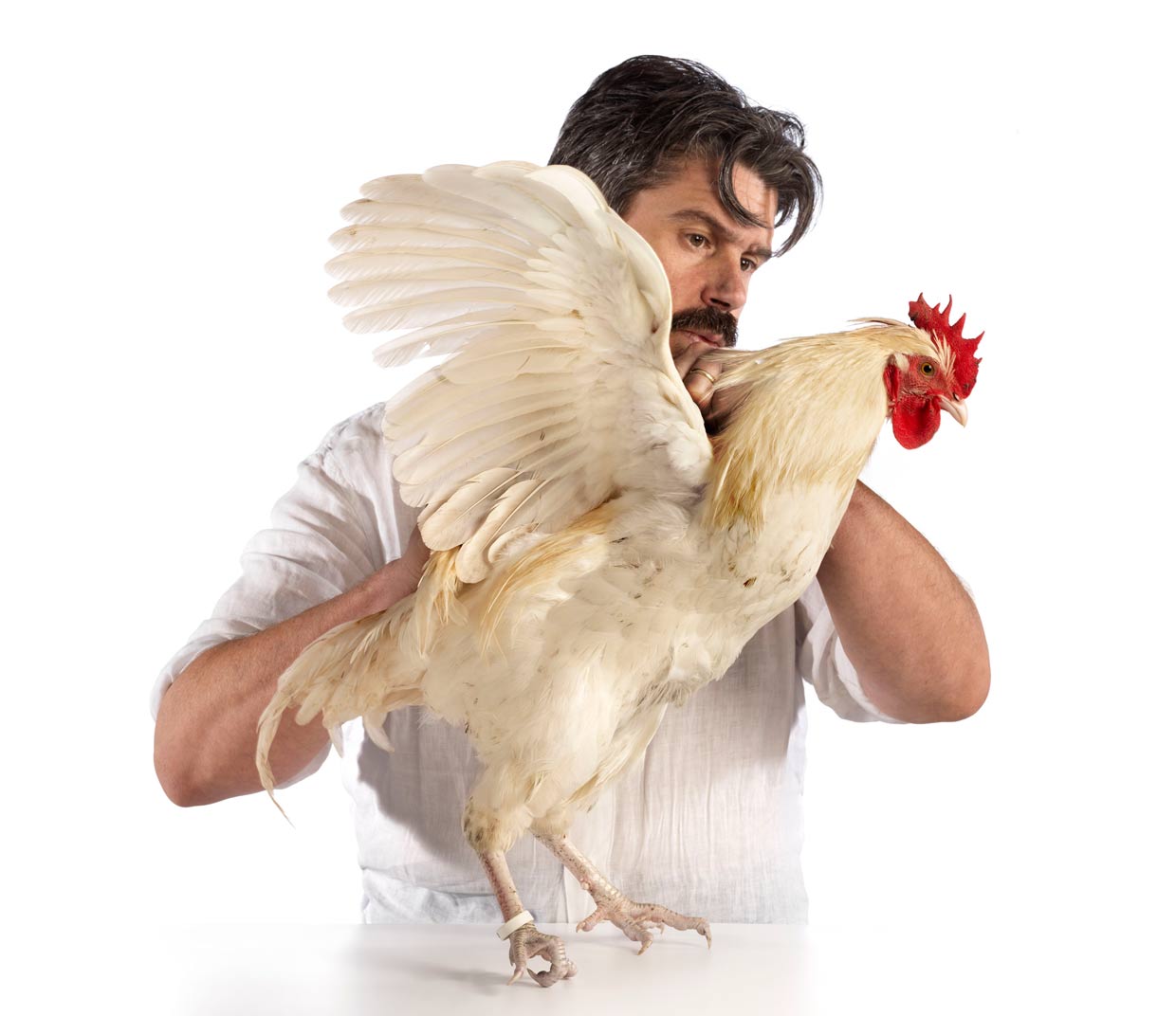 Koen Vanmechelen con uno dei suoi polli
