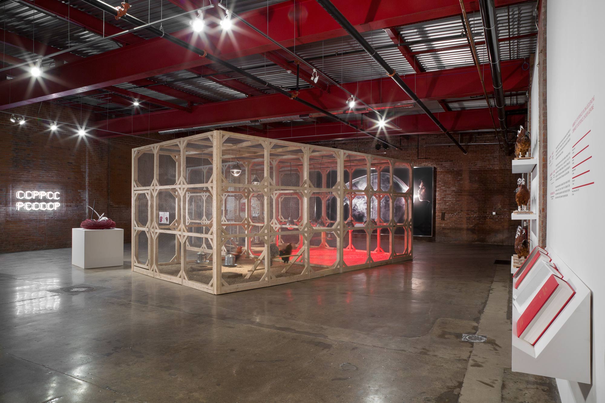 Koen Vanmechelen, The Cosmopolitan Chicken Project. Foto di PD Rearick
