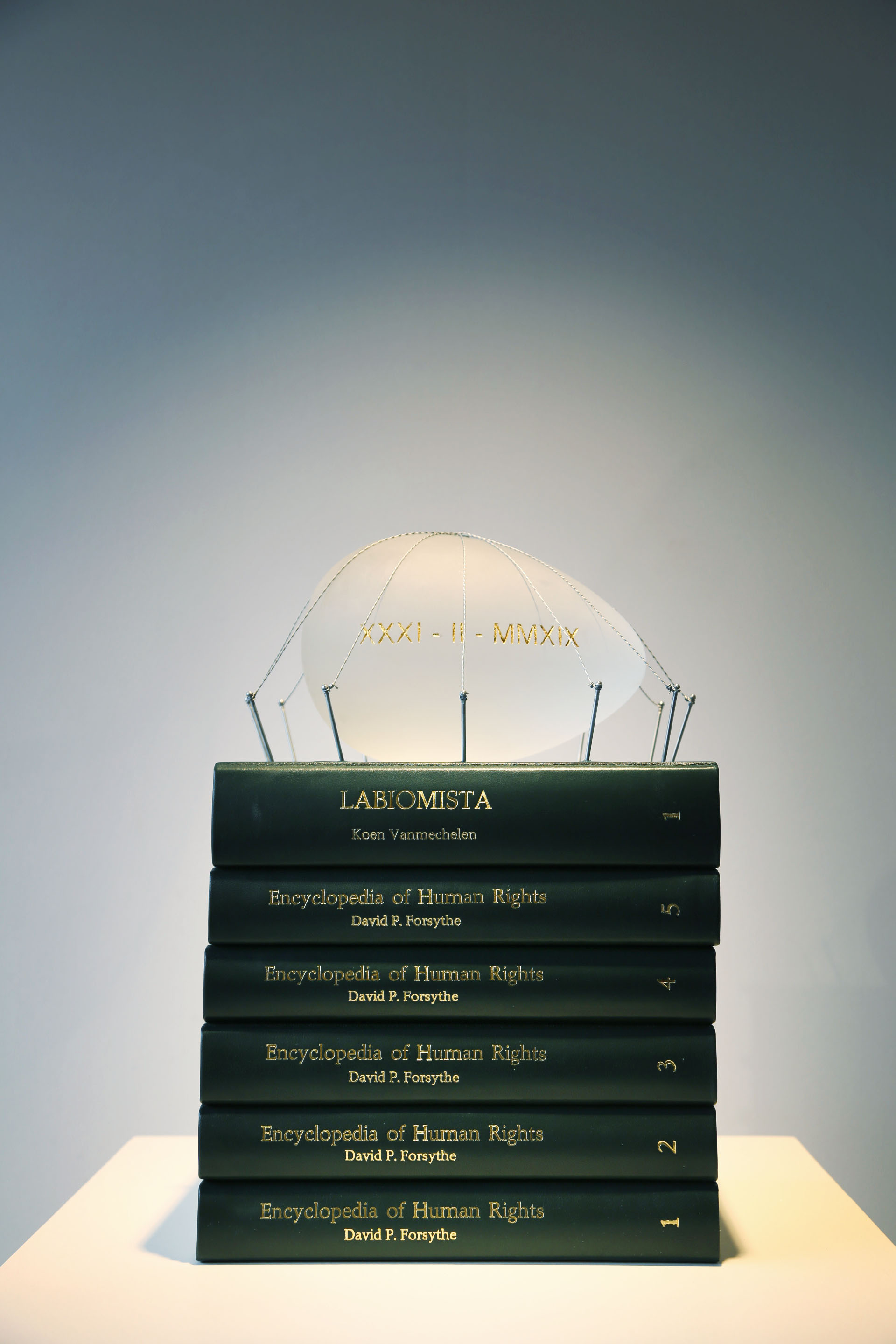 Koen Vanmechelen, Collective memory
