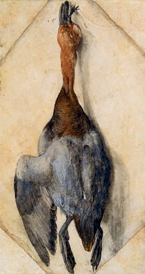Albrecht Dürer, Anatra morta (1502-1504 circa; acquerello coprente su pergamena, 224 x 226 mm; Lisbona, Museu Calouste Gulbenkian)
 Albrecht Dürer, Anatra morta (1502-1504 circa; acquerello coprente su pergamena, 224 x 226 mm; Lisbona, Museu Calouste Gulbenkian)