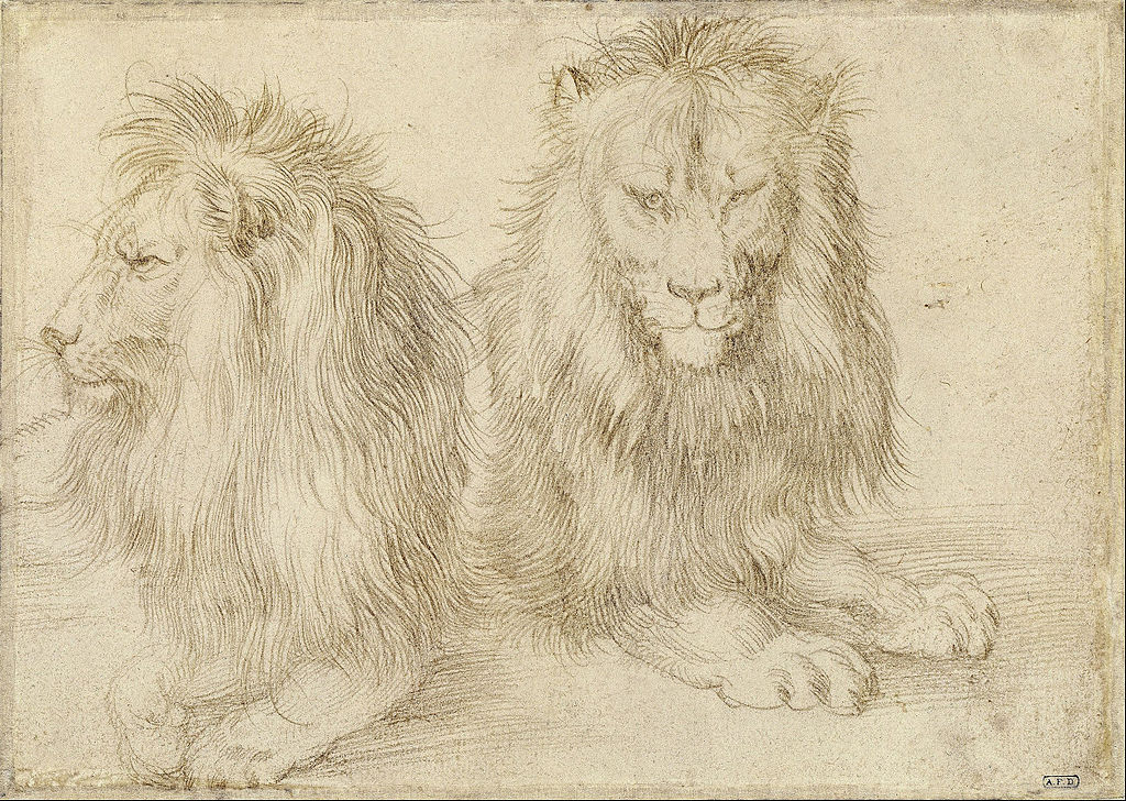 Albrecht Dürer, Studio di due leoni (1521; punta d'argento su carta, 121 x 171 mm; Berlino, Kupferstichkabinett)
 Albrecht Dürer, Studio di due leoni (1521; punta d'argento su carta, 121 x 171 mm; Berlino, Kupferstichkabinett)
