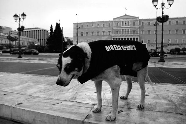 Santiago Sierra, Los perros atenienses (in memoriam kanelos y Lukanikos) (2015)
 Santiago Sierra, Los perros atenienses (in memoriam kanelos y Lukanikos) (2015)