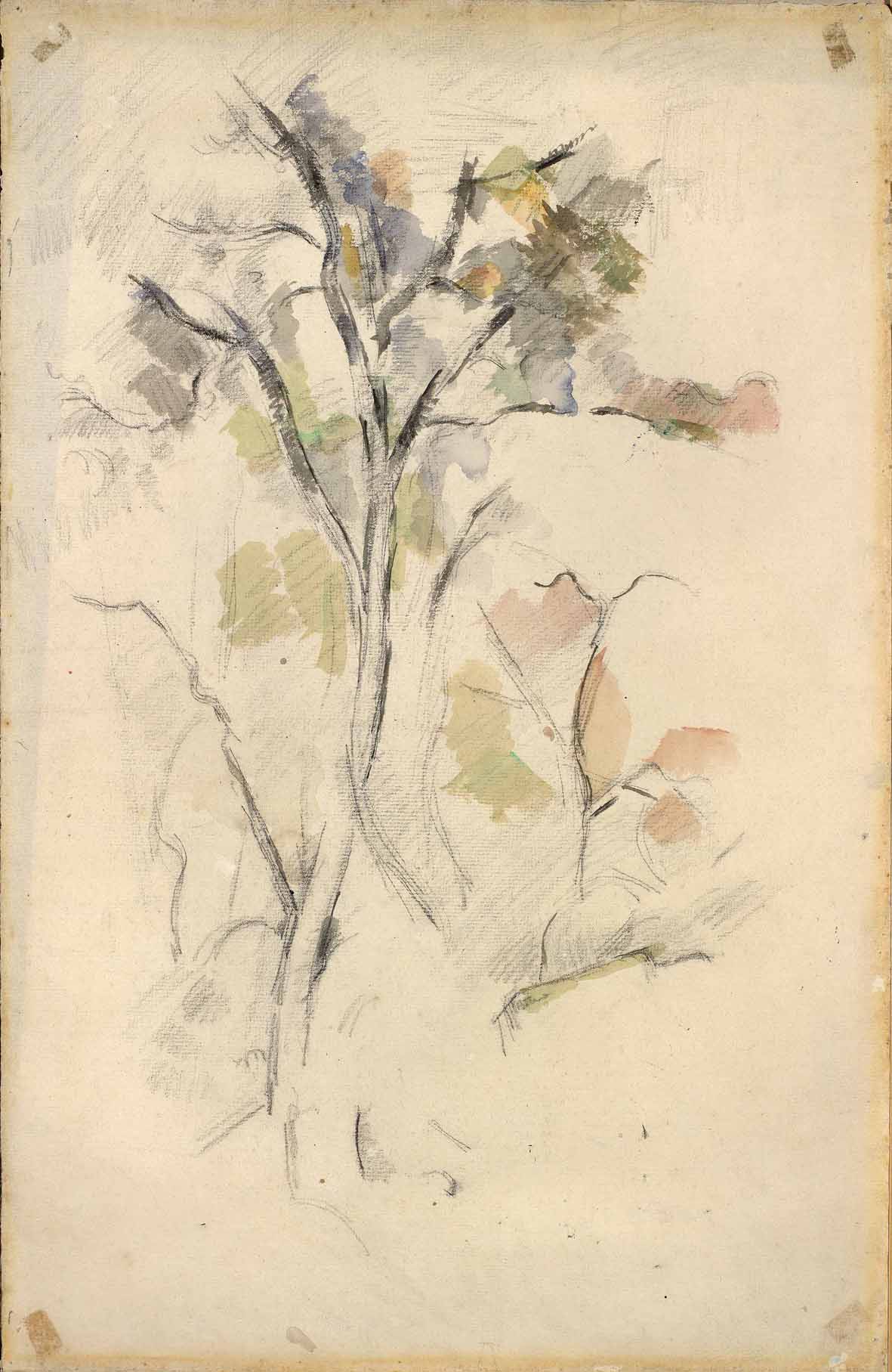 Paul Cézanne, Arbres (1887-1890; acquerello su carta; Mamiano di Traversetolo, Fondazione Magnani Rocca)
