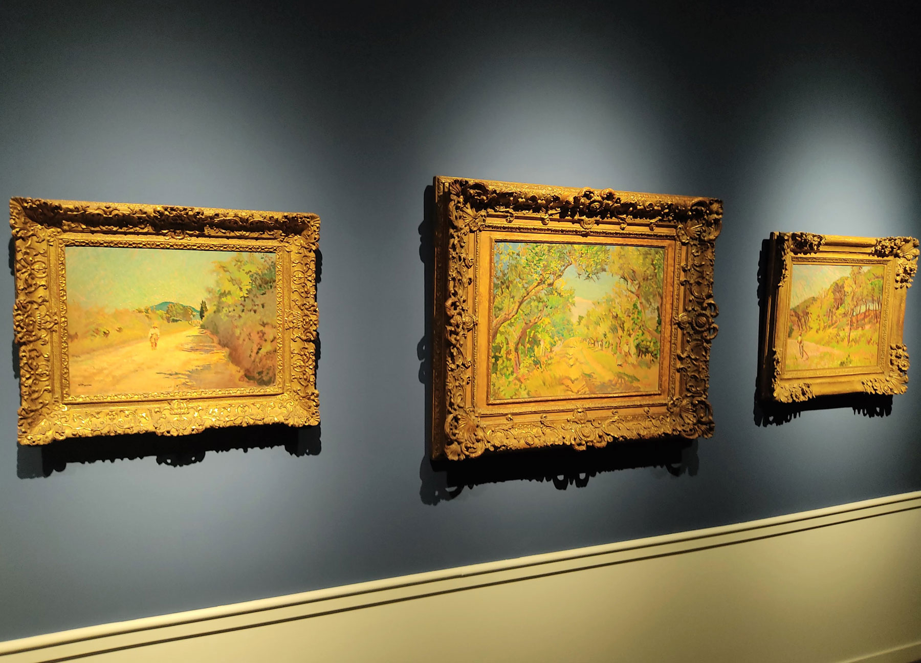 Alcuni paesaggi di Puccini
 Alcuni paesaggi di Puccini