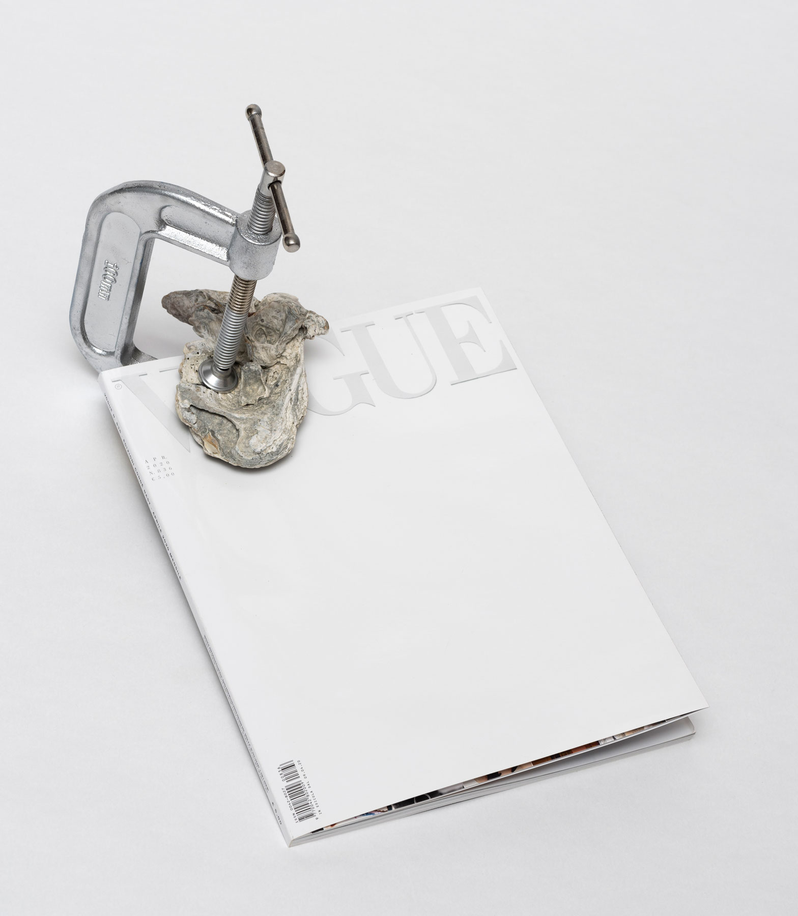 Federica Di Carlo, Je suis la Vague (2020; conchiglia fossile francese, morsa in ferro argentata su Vogue). Courtesy l’artista. Foto di Giorgio Benni
