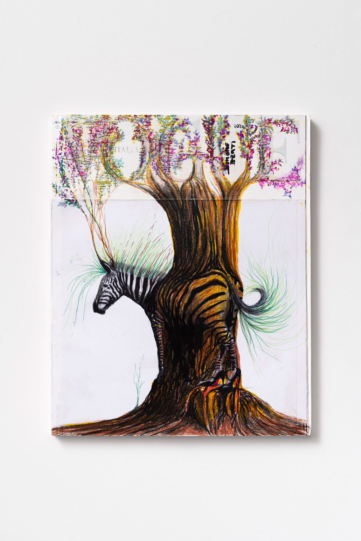 Simone Berti, Zebra con Louboutin (2020; tecnica mista su carta e copertina). Courtesy l’artista. Foto di Giorgio Benni
