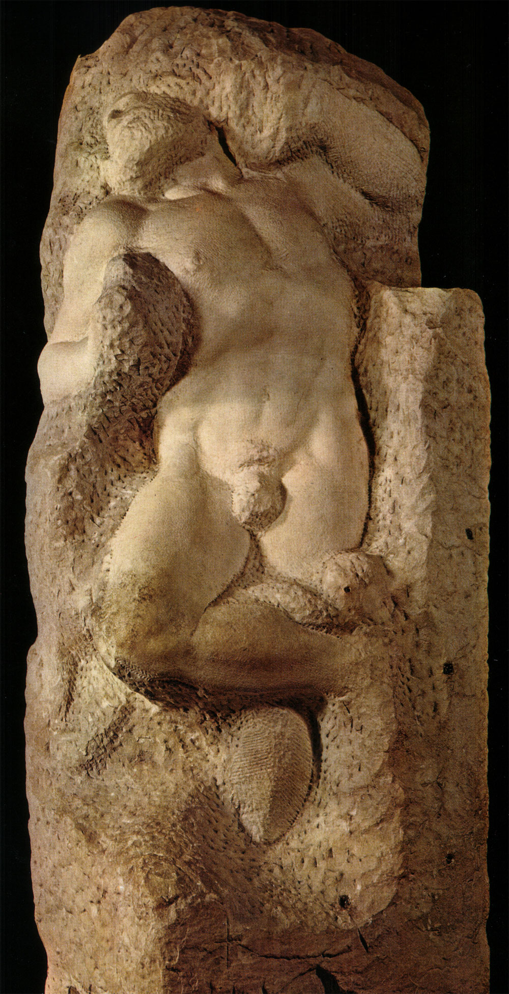 Michelangelo Buonarroti, Schiavo che si ridesta (1525-1530 circa; marmo, altezza 267 cm; Firenze, Galleria dell'Accademia)
