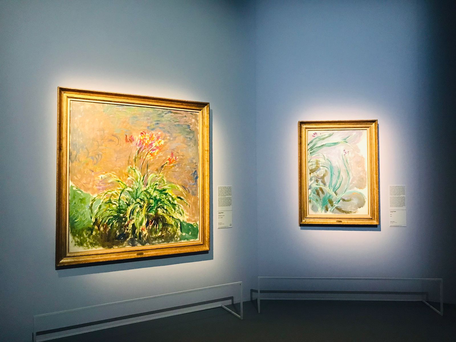 Sala della mostra Monet a Milano, Palazzo Reale
 Sala della mostra Monet a Milano, Palazzo Reale
