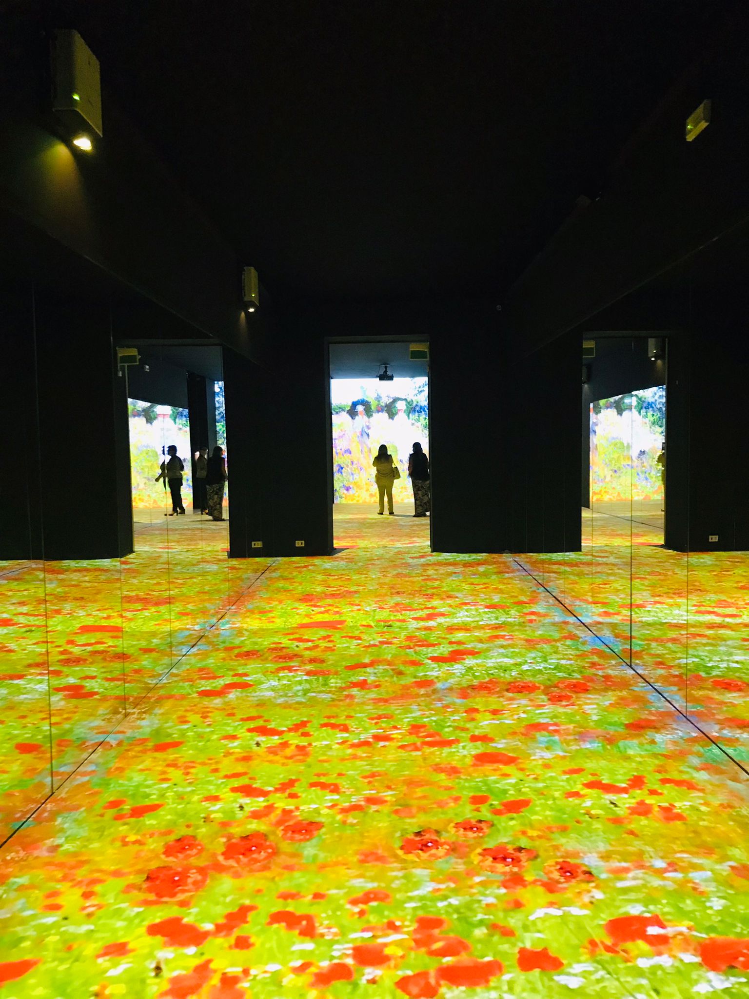 Sala della mostra Monet a Milano, Palazzo Reale
 Sala della mostra Monet a Milano, Palazzo Reale