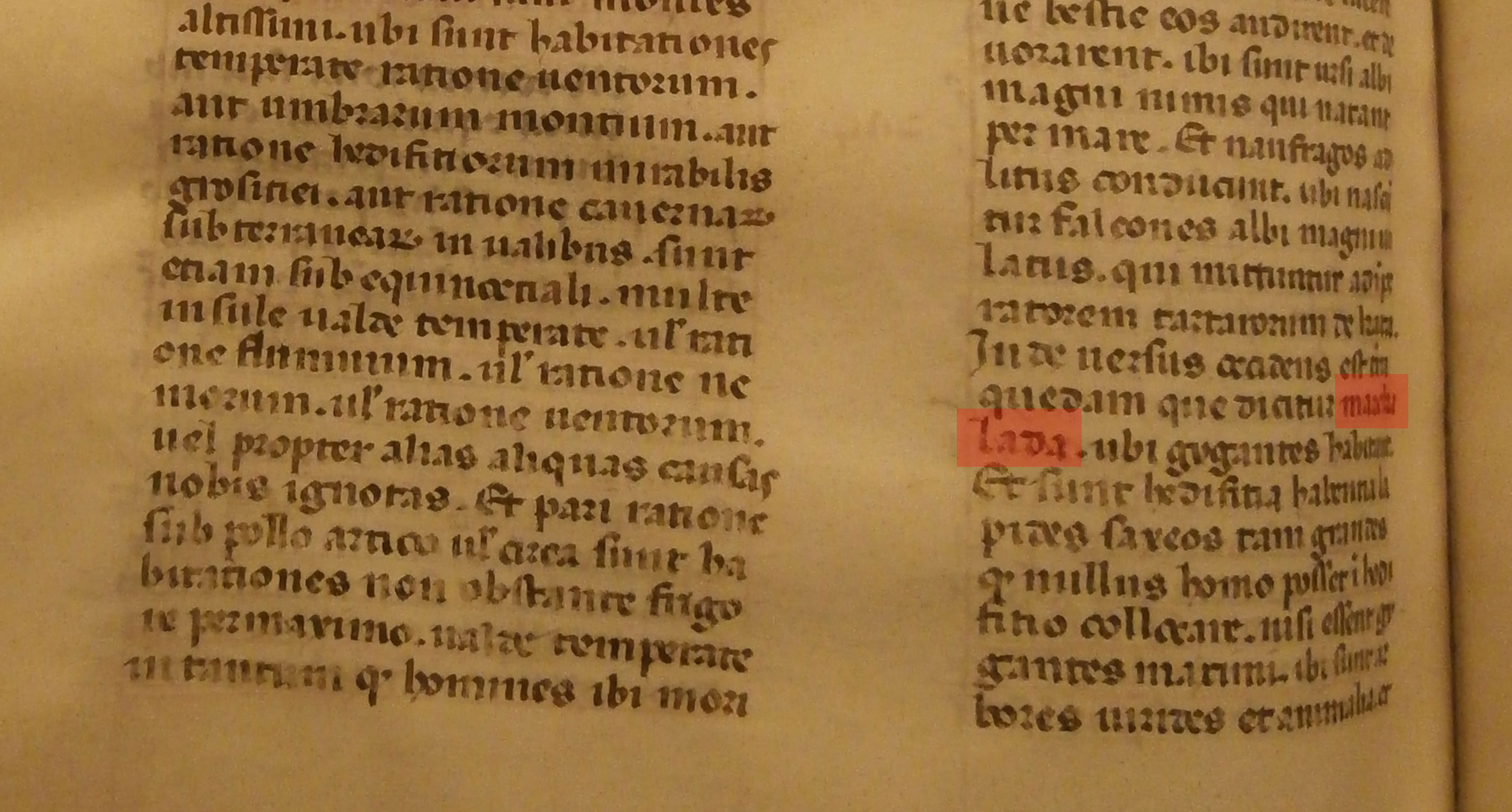 La parte della Cronica universalis dove si cita la terra chiamata Marckalada, qui evidenziata in rosso. 
