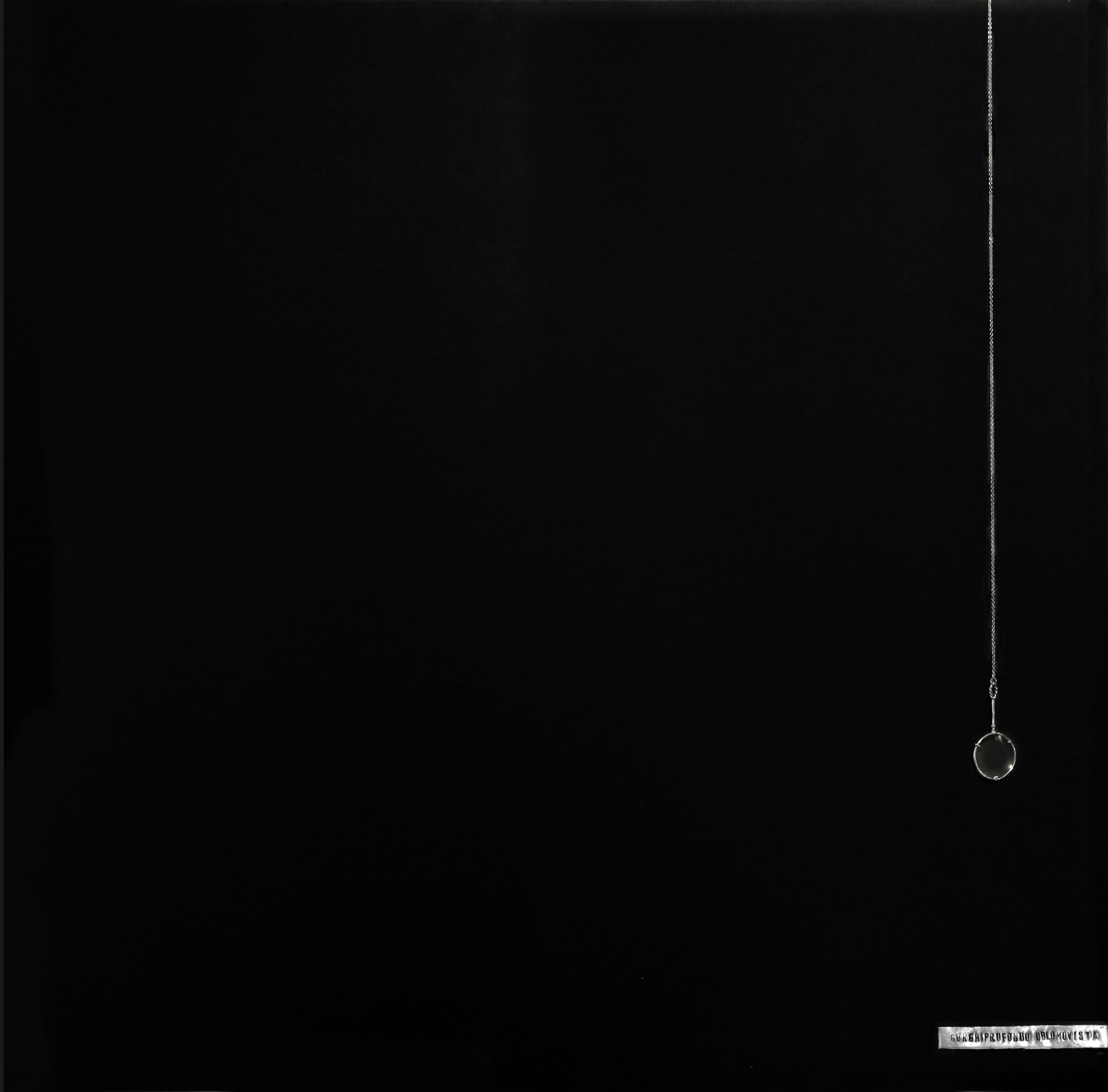 Sabrina D’Alessandro, Gorghiprofondo Oblomovista, Colui che sa la vacuità (2011; acrilico e lente d’ingrandimento su tela)
