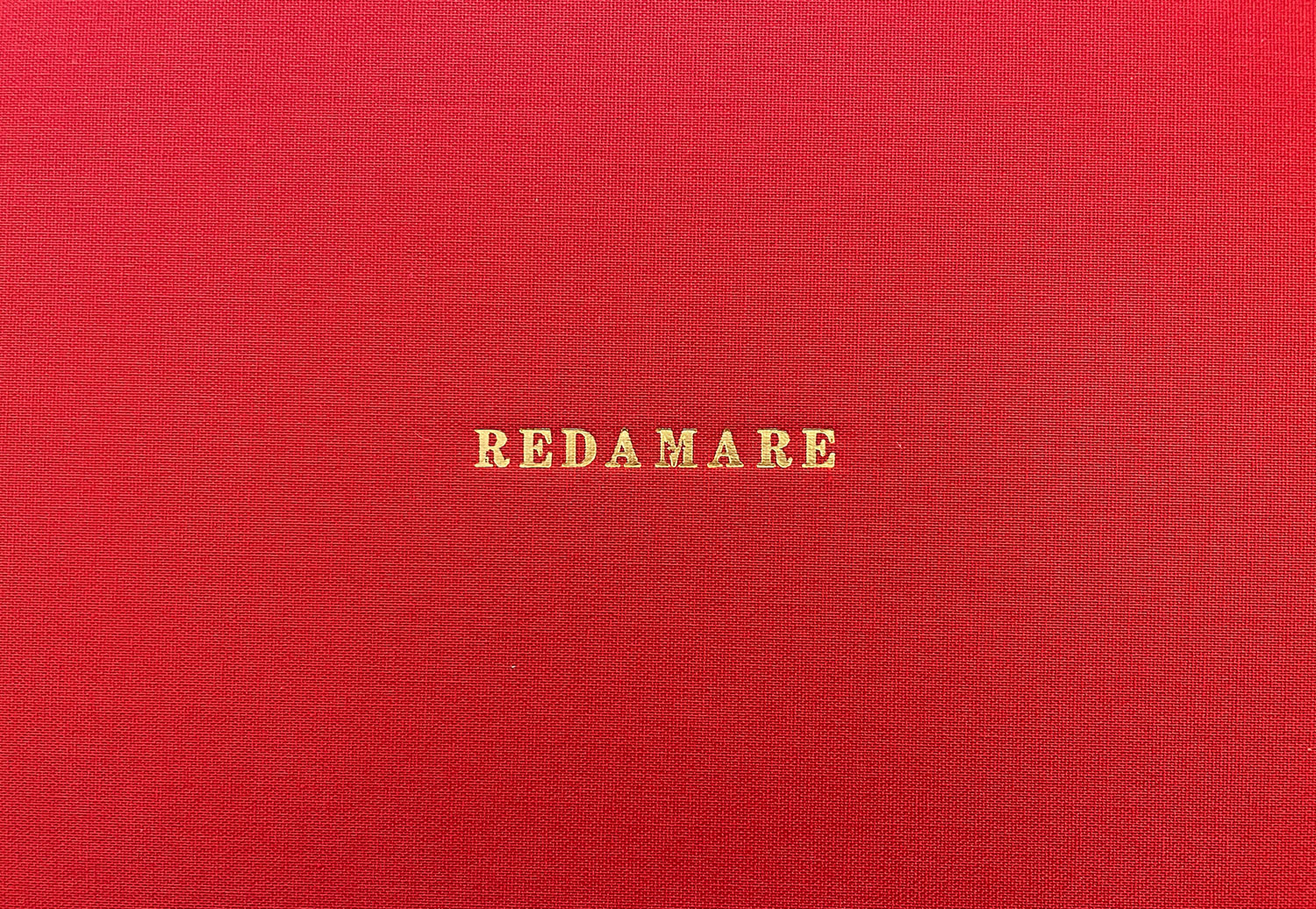 Sabrina D’Alessandro, Redamare, Dal ciclo delle Parole parlanti (2001-2020; oro a caldo su tela e voce)
