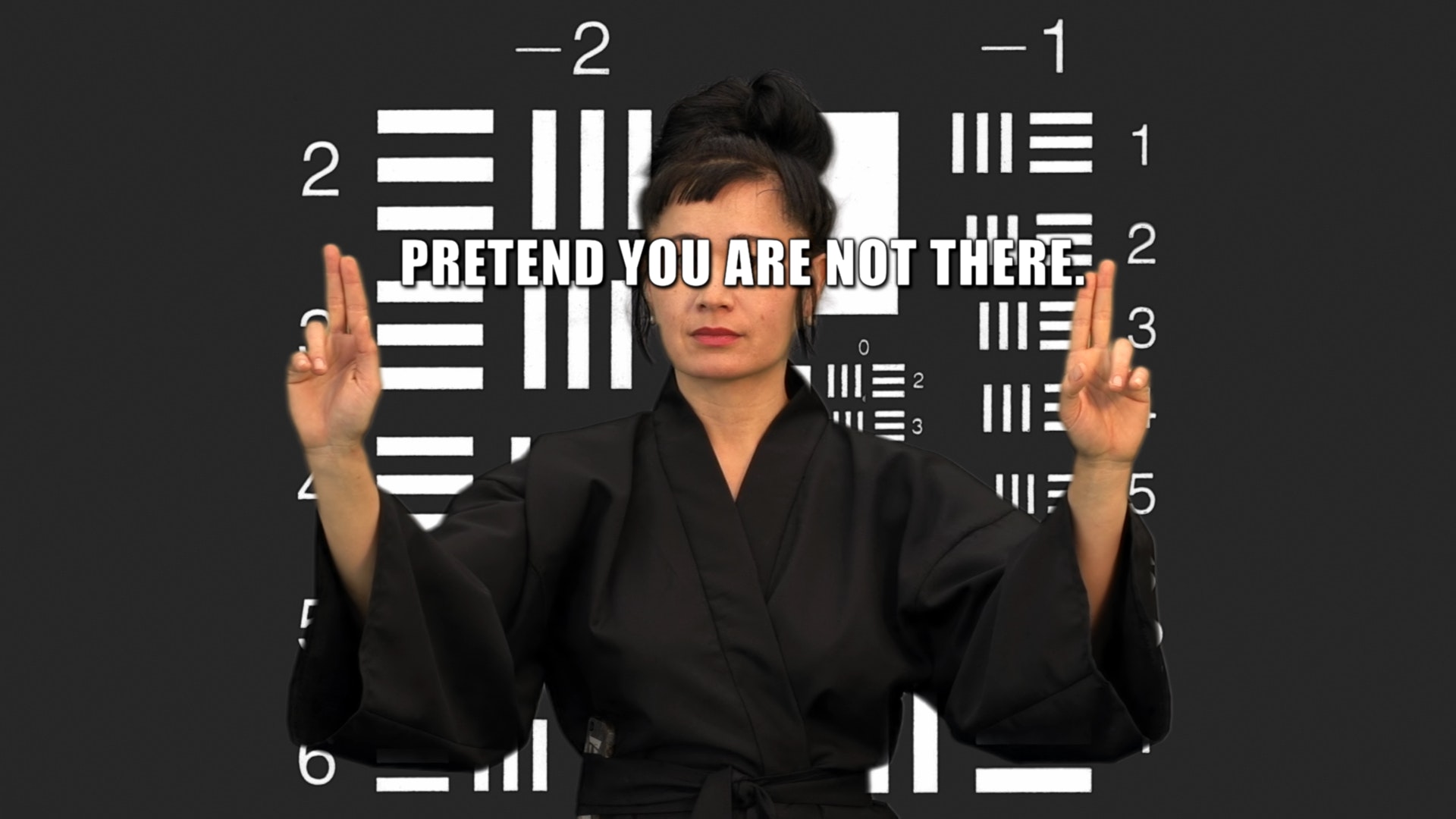 Hito Steyerl, How Not to Be Seen: A Fucking Didactic Educational .MOV File (2013; video, colore, suono, durata 14 minuti)
