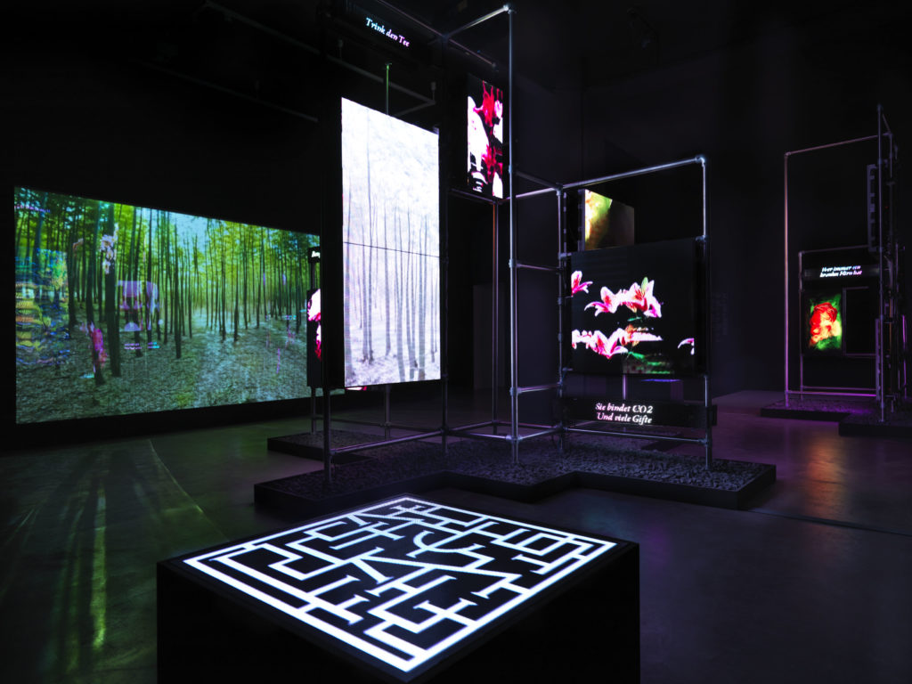 Hito Steyerl, This is the future (2019; installazione). Foto  Neuer Berliner Kunstverein / Jens Ziehe
