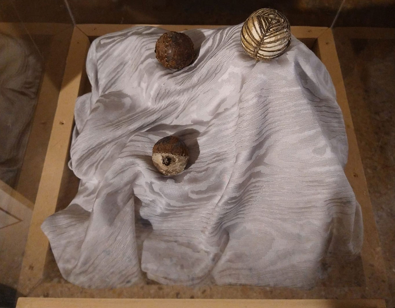 Le ballette di Palazzo Te
