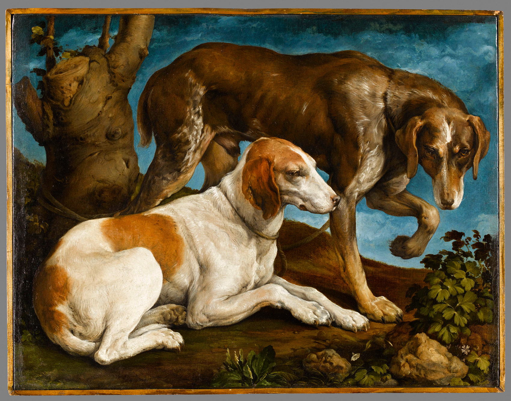 Jacopo Bassano, Ritratto di due cani legati a un tronco (1548-1550 circa; olio su tela; Parigi, Musée du Louvre, Département des Peintures) © Parigi, Louvre/RMN-Grand Palais /Stéphane Maréchalle/Dist. Foto SCALA, Firenze, 2021
 Jacopo Bassano, Ritratto di due cani legati a un tronco (1548-1550 circa; olio su tela; Parigi, Musée du Louvre, Département des Peintures) © Parigi, Louvre/RMN-Grand Palais /Stéphane Maréchalle/Dist. Foto SCALA, Firenze, 2021