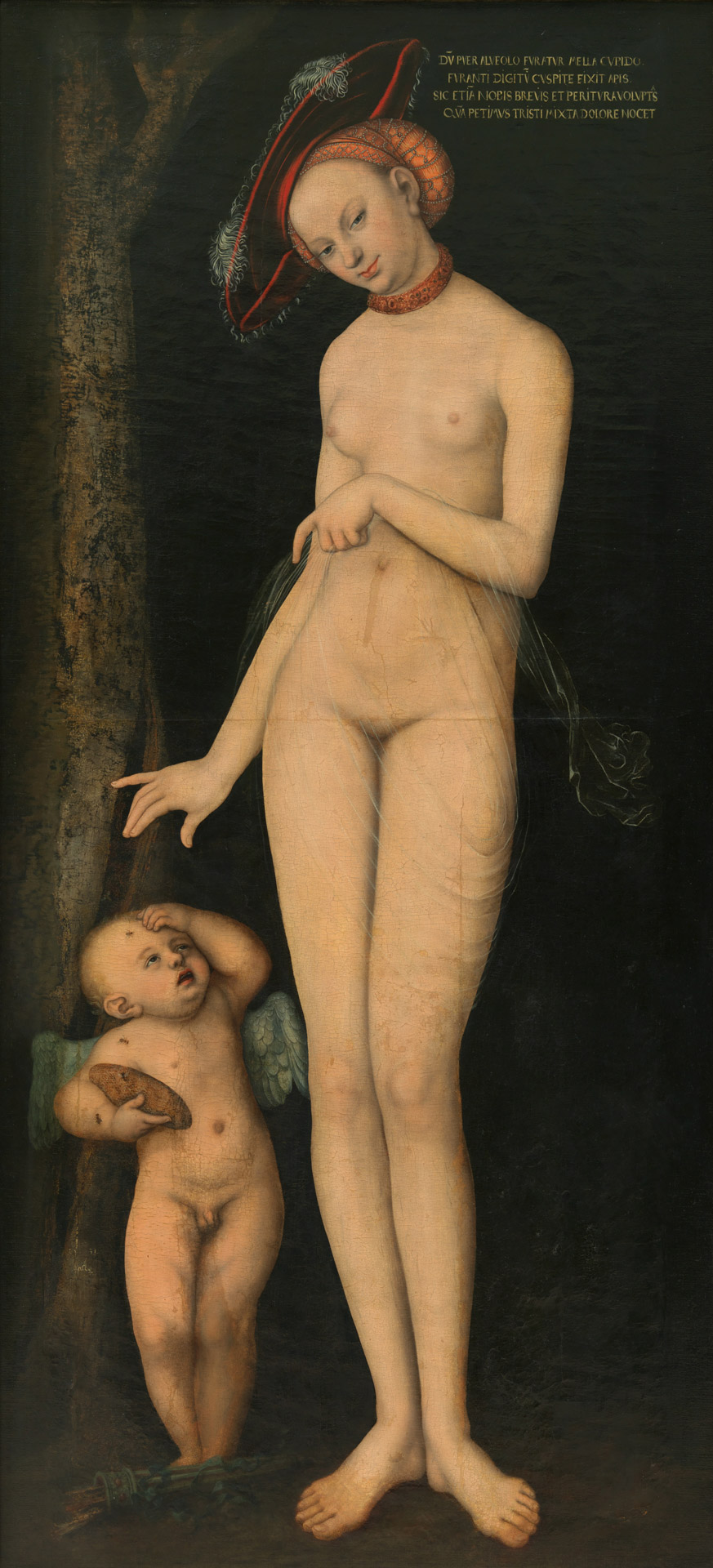 Lucas Cranach il Vecchio, Venere e Cupido con un favo di miele (1531; olio su tavola trasportato su tela; 176 x 80 cm; Bruxelles, Musées royaux des Beaux-Arts de Belgique)

