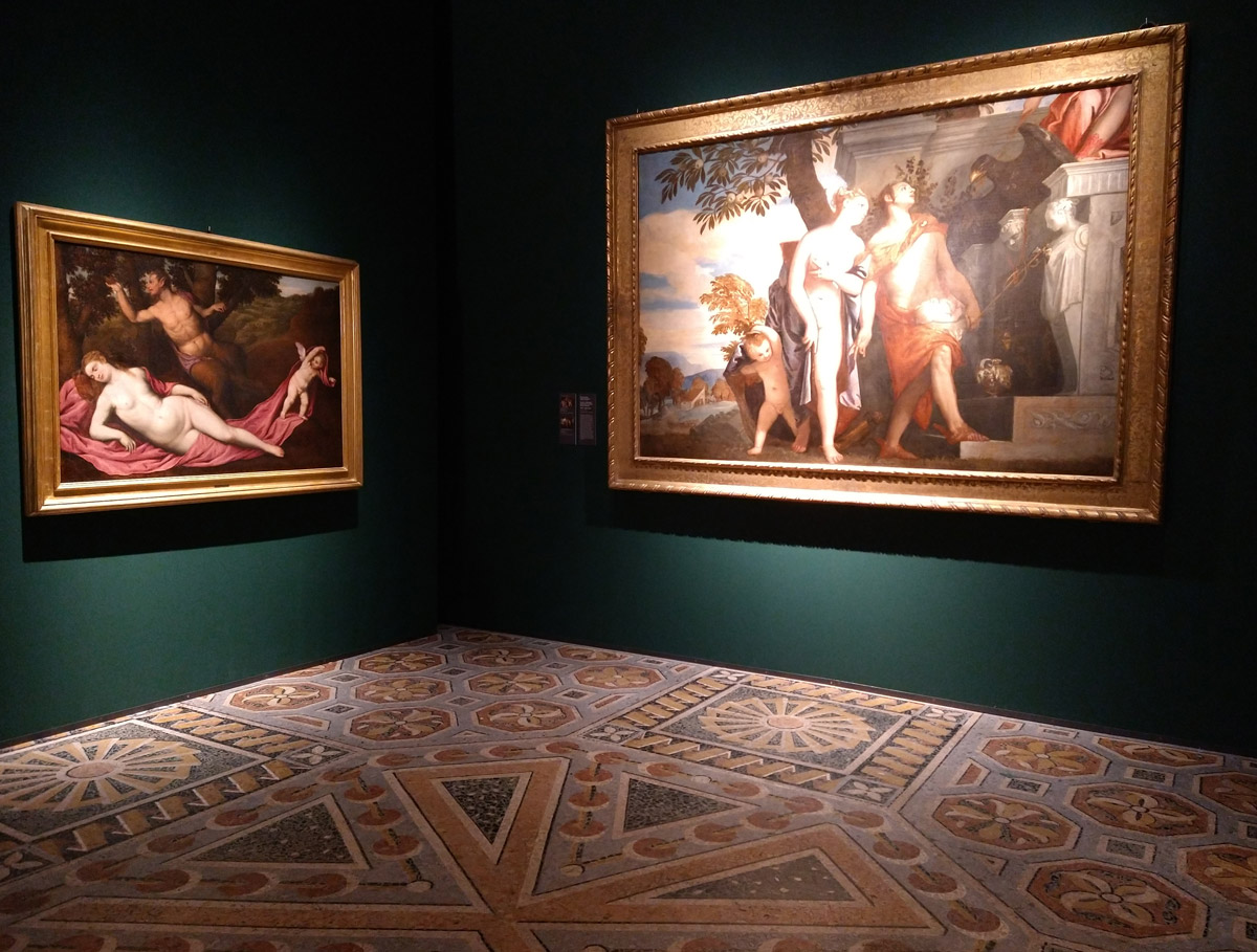 Sala della mostra Venere. Natura, ombra e bellezza
