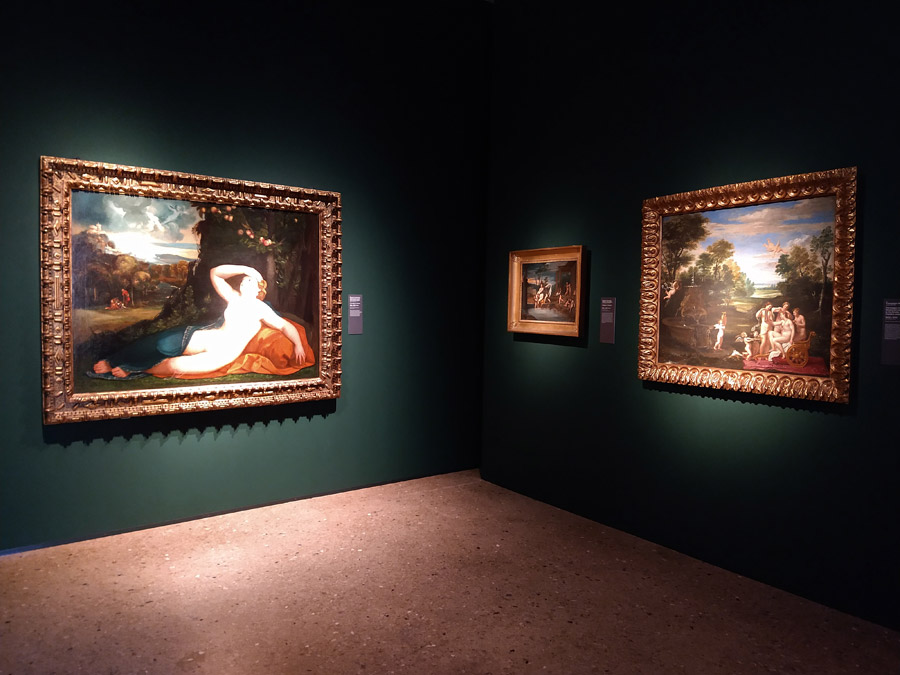 Sala della mostra Venere. Natura, ombra e bellezza
