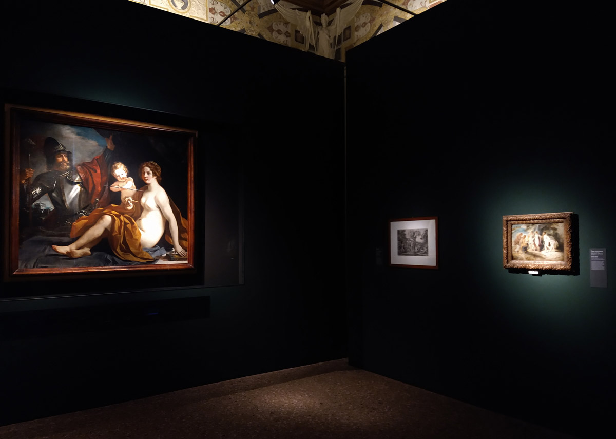 Sala della mostra Venere. Natura, ombra e bellezza
