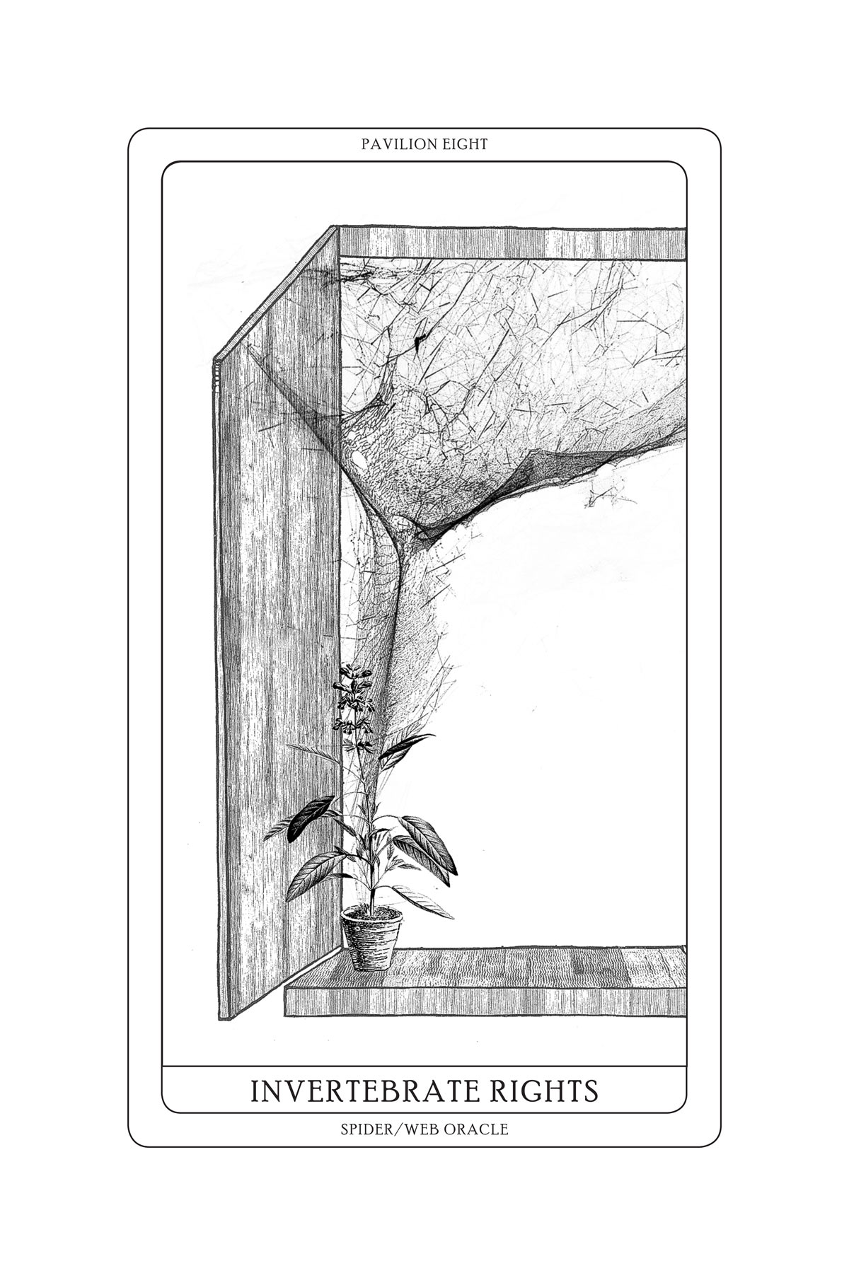 Tomás Saraceno, Arachnomancy Cards (2018). Su gentile concessione dell'artista e di Arachnophilia. © Tomás Saraceno
