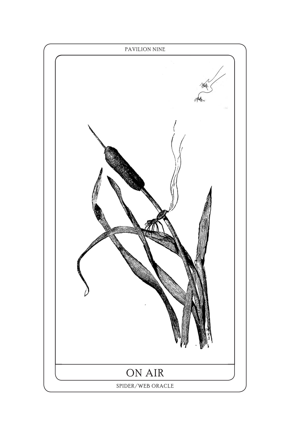 Tomás Saraceno, Arachnomancy Cards (2018). Su gentile concessione dell'artista e di Arachnophilia. © Tomás Saraceno
