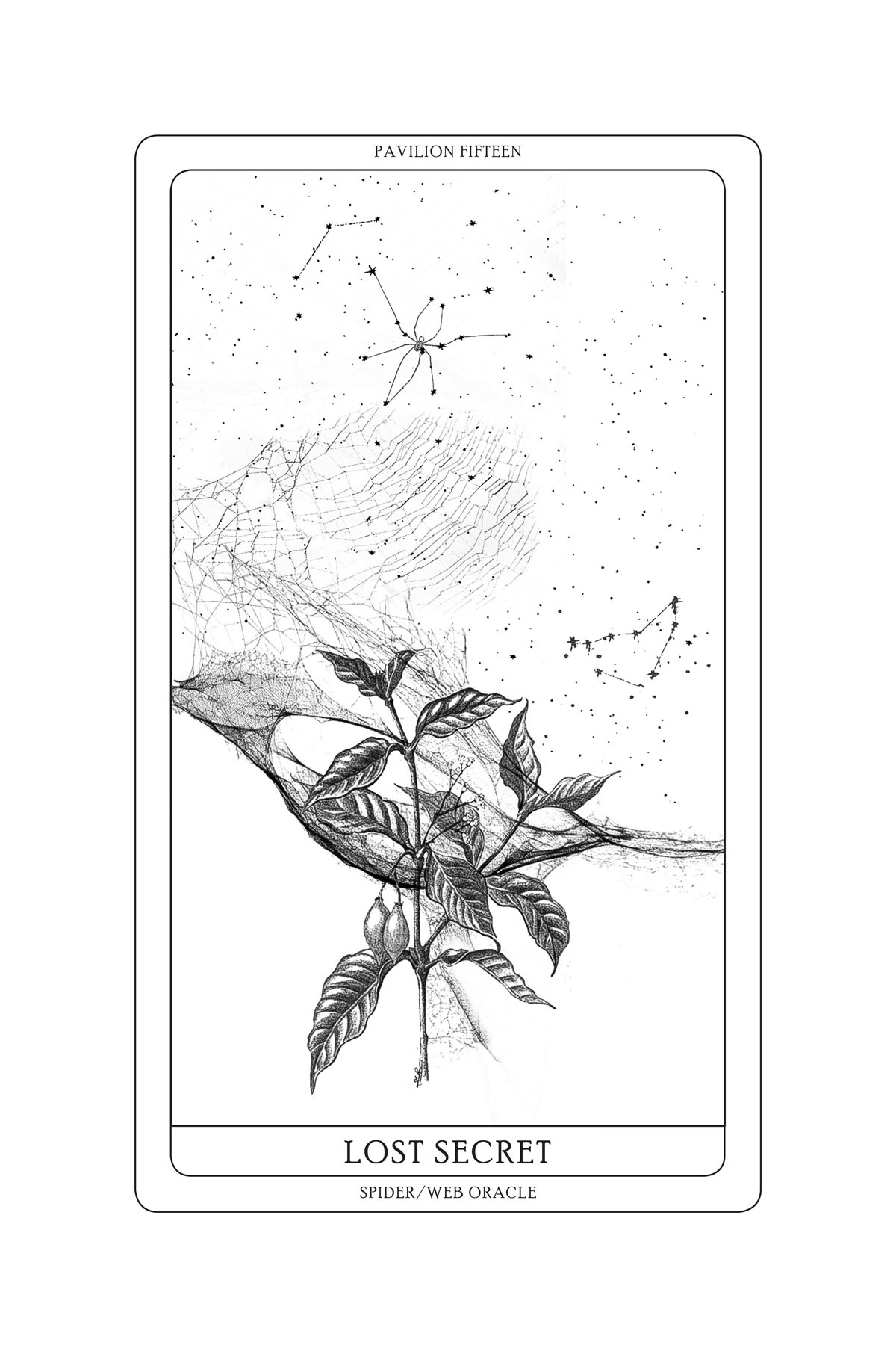 Tomás Saraceno, Arachnomancy Cards (2018). Su gentile concessione dell'artista e di Arachnophilia. © Tomás Saraceno
