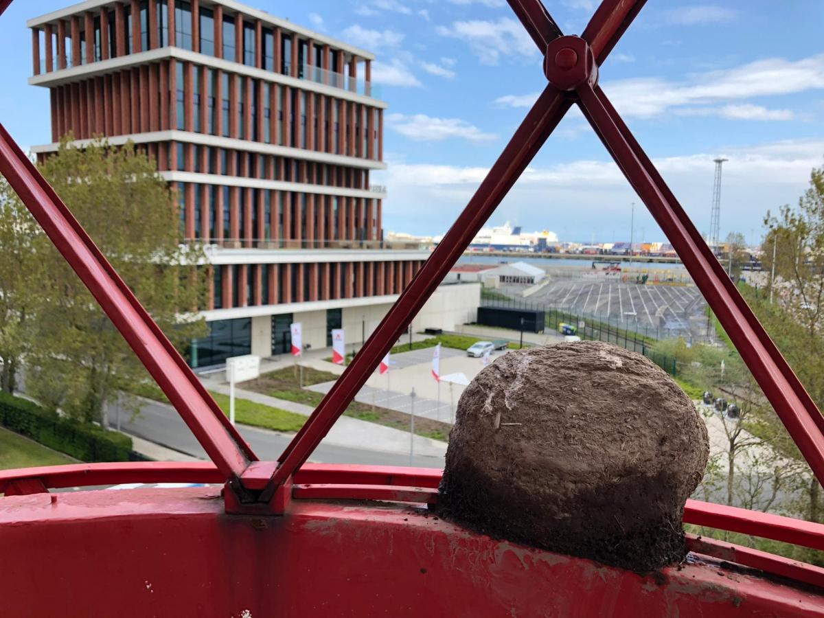 Adrián Villar Rojas, From the series Brick Farm
