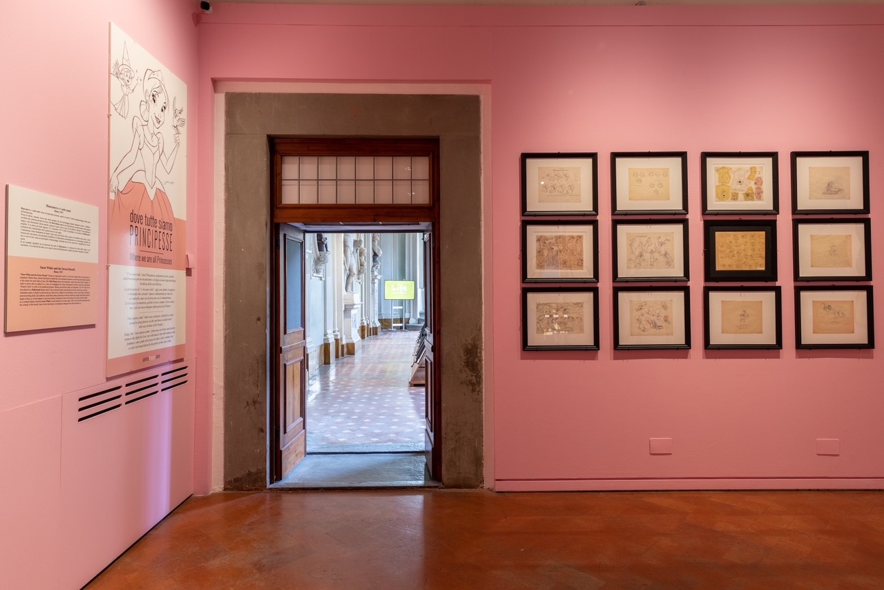 Foto dell'allestimento
 Foto dell'allestimento