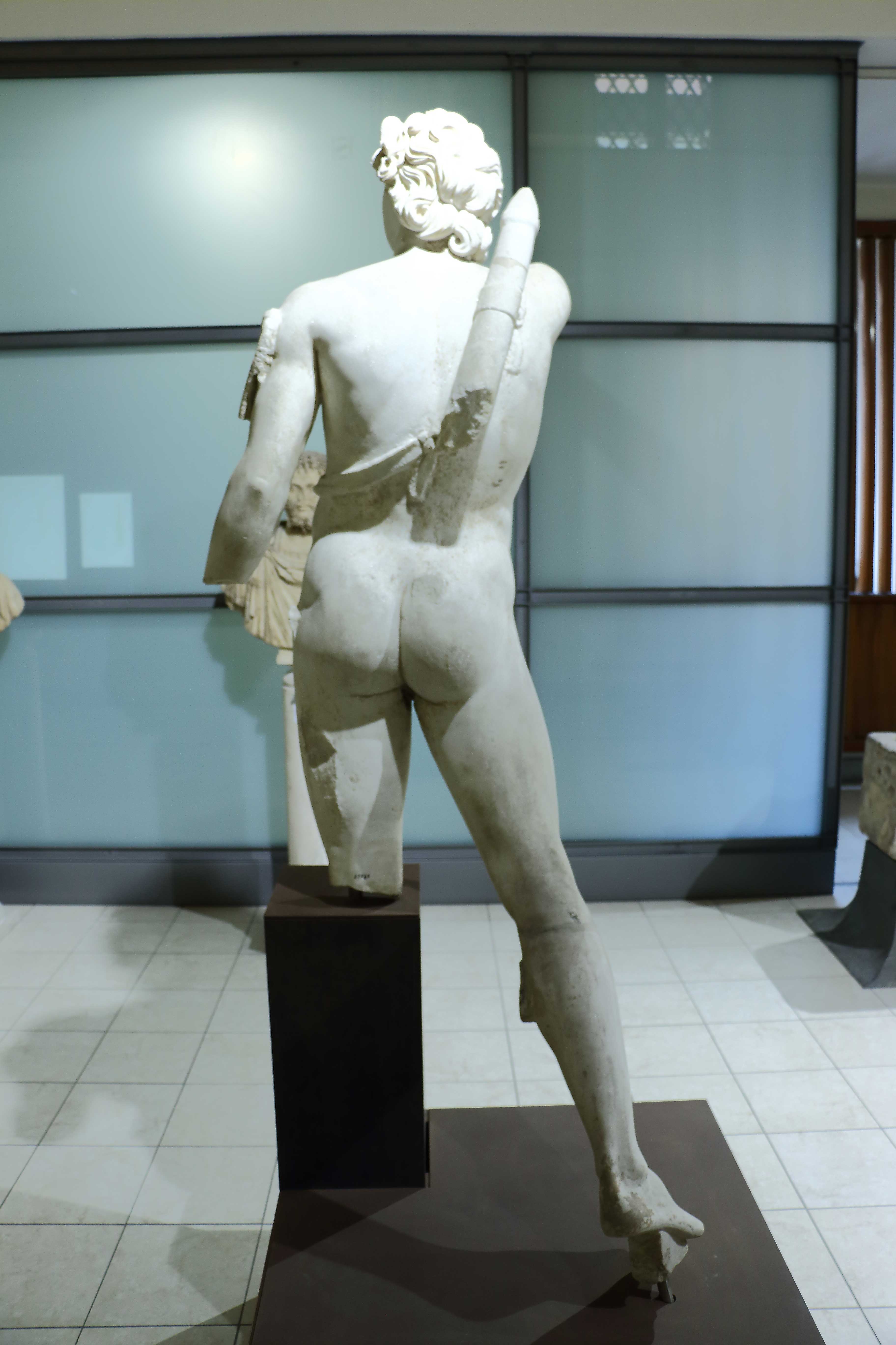 L'Apollo visto da tergo
 L'Apollo visto da tergo