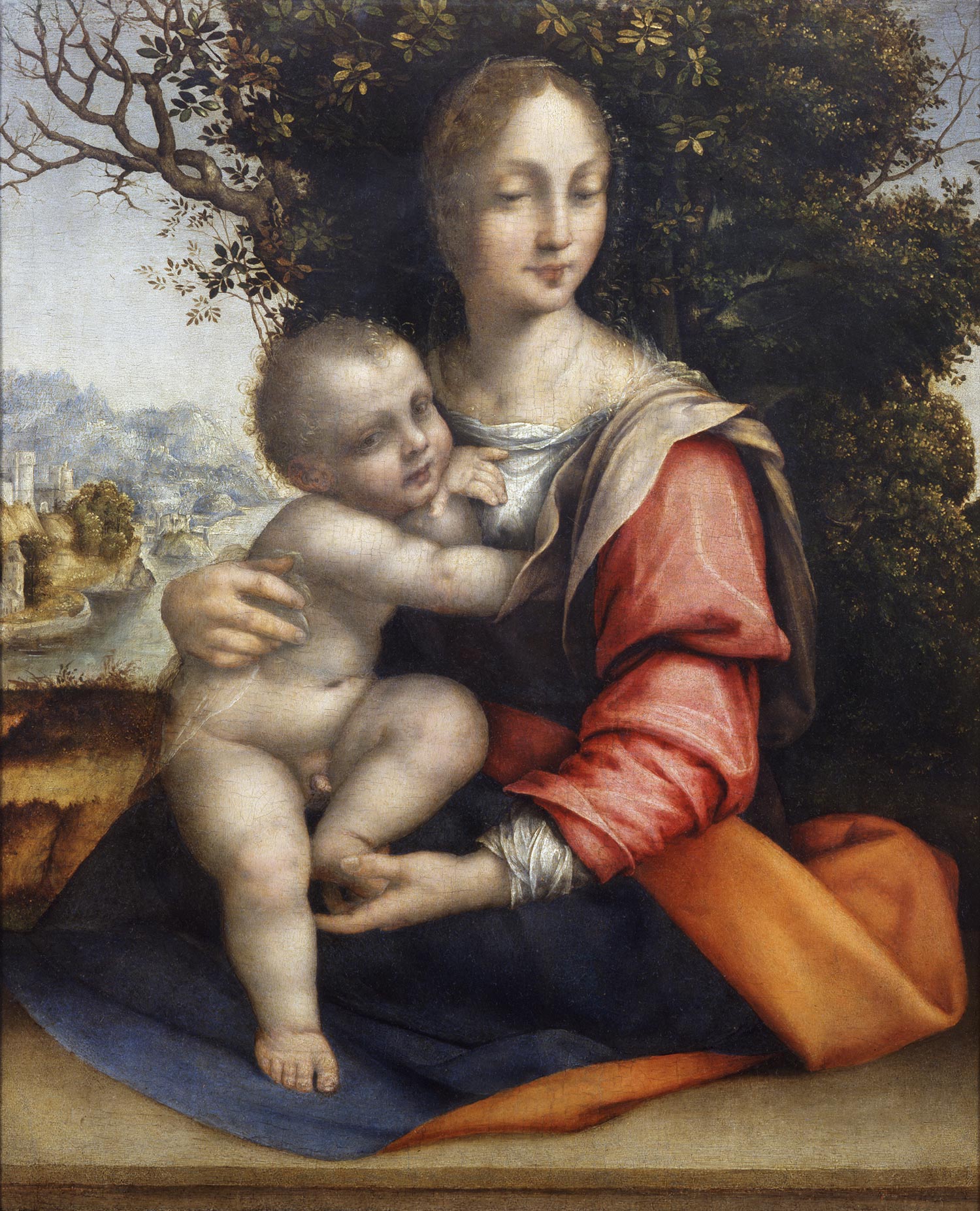 Cesare da Sesto, Madonna of the Tree (1512-1520; oil on panel, 46 x 36 cm; Milan, Pinacoteca di Brera, inv. 326)