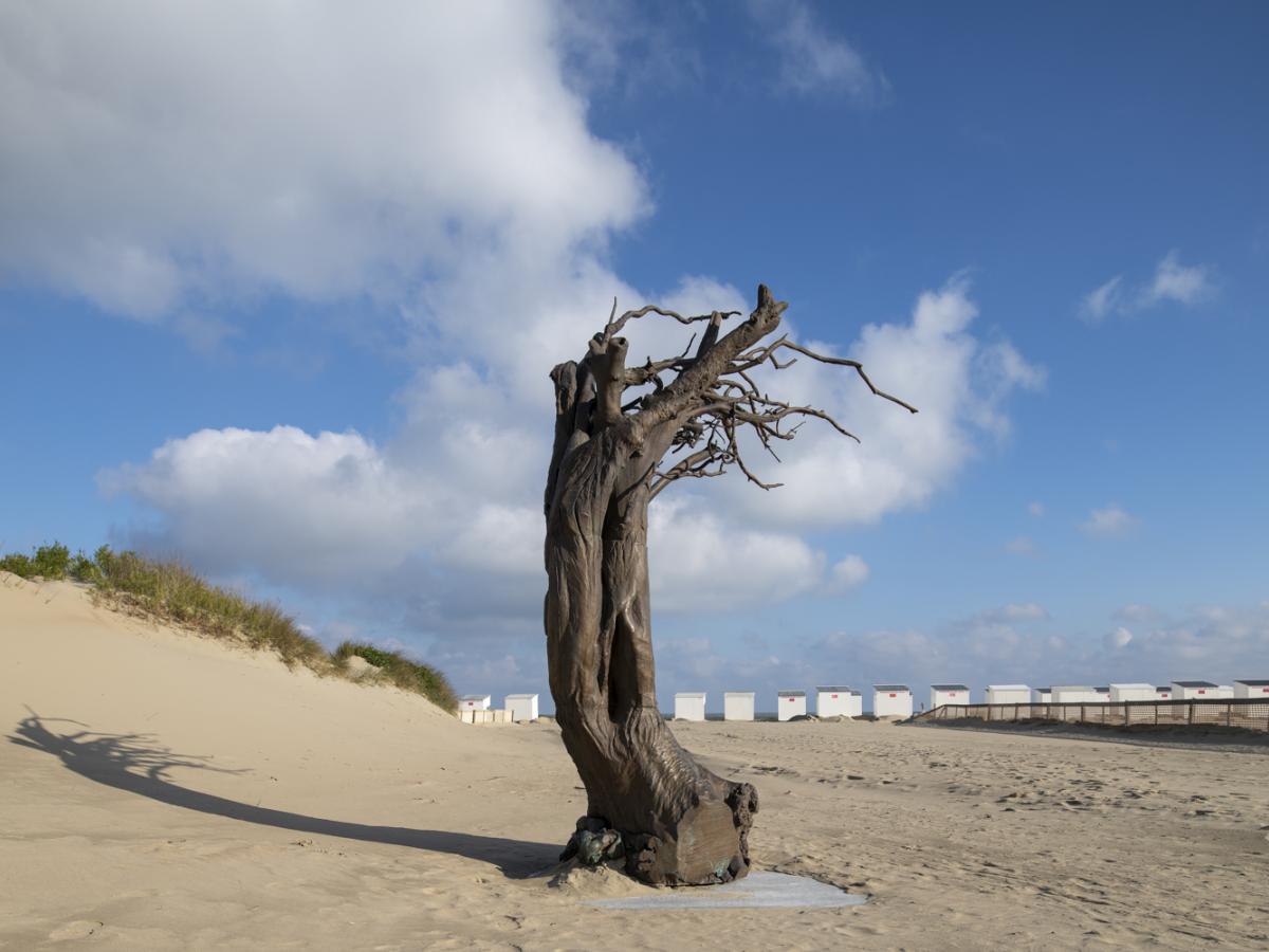 Els Dietvorst, Windswept
