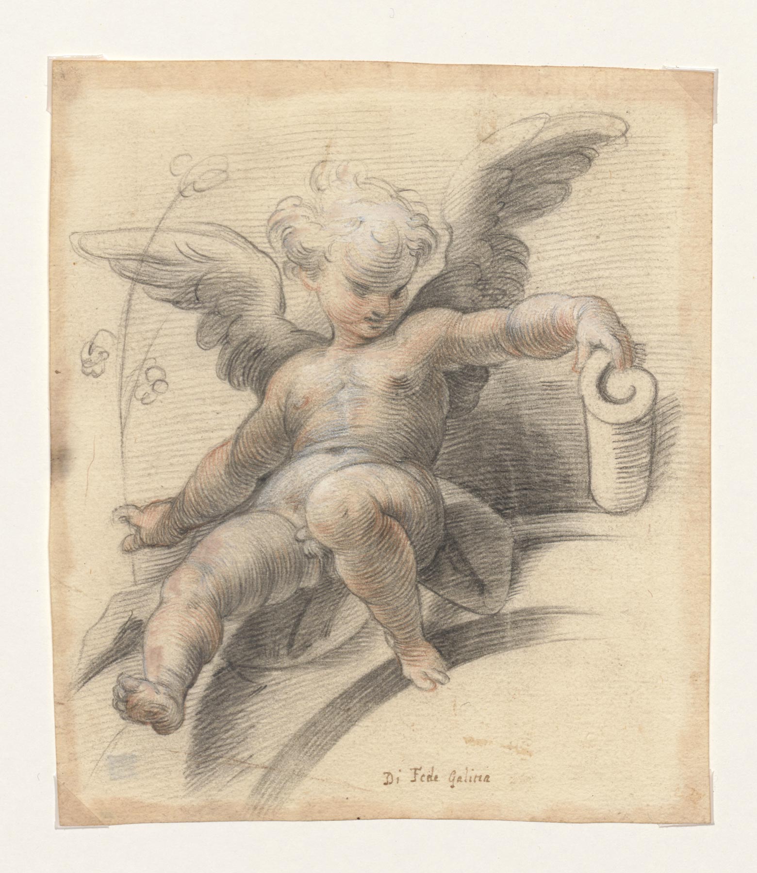 Fede Galizia, Cherubino seduto (Milano, Veneranda Biblioteca Ambrosiana)
 Fede Galizia, Cherubino seduto (Milano, Veneranda Biblioteca Ambrosiana)