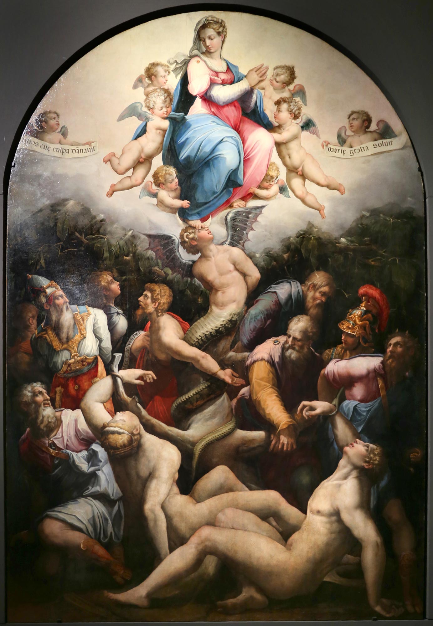 Giorgio Vasari, Immacolata Concezione (1541; tempera su tavola; Firenze, Santi Apostoli)
 Giorgio Vasari, Immacolata Concezione (1541; tempera su tavola; Firenze, Santi Apostoli)