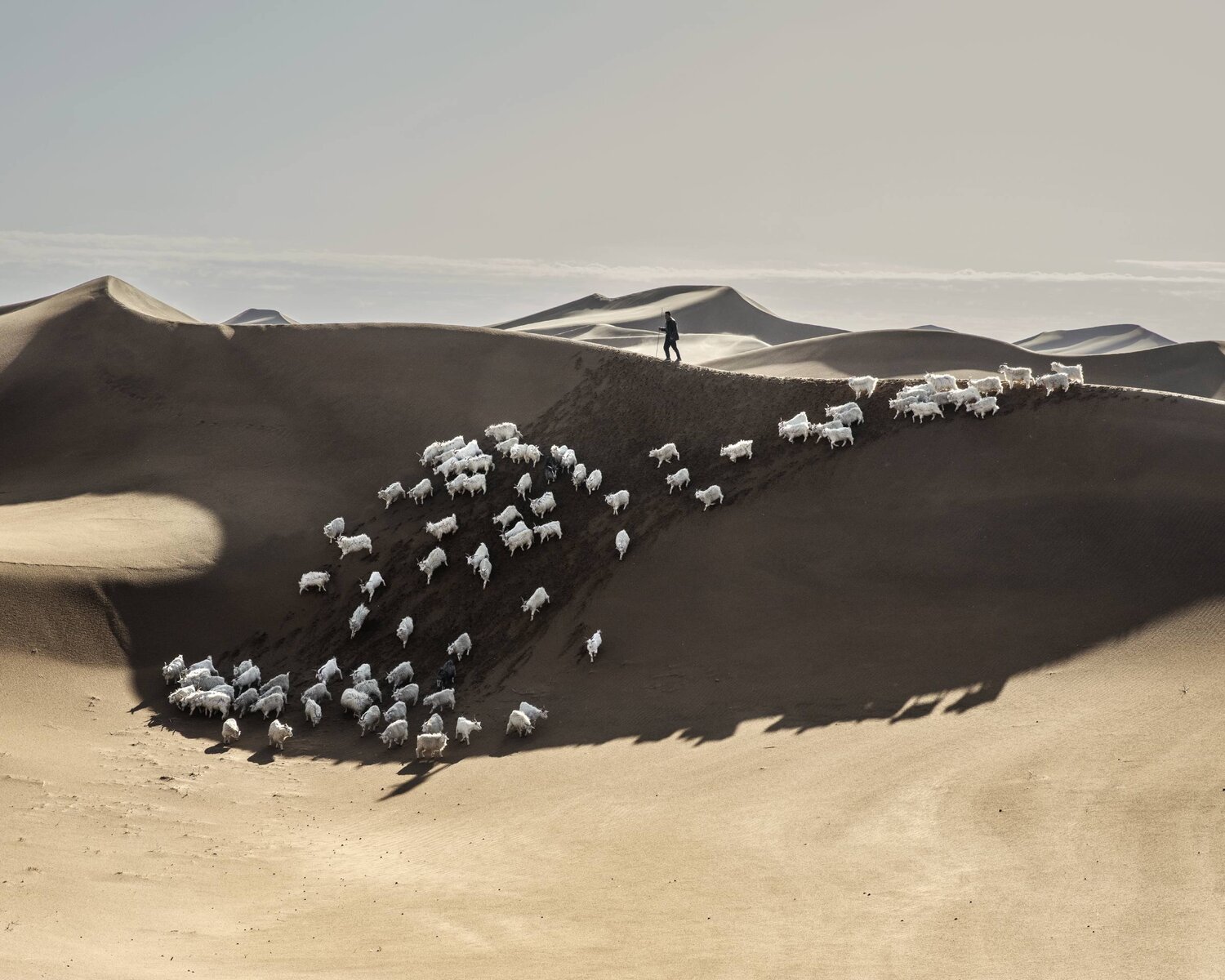 Giulio Di Sturco, The origin of a secret (2018-2019)
