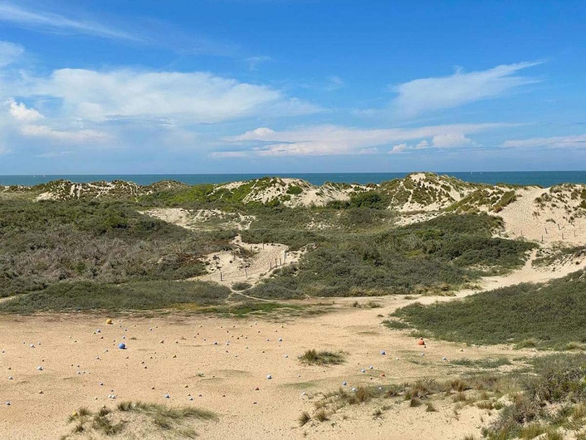 Heidi Voet, White Dwarfs and Supergiants
