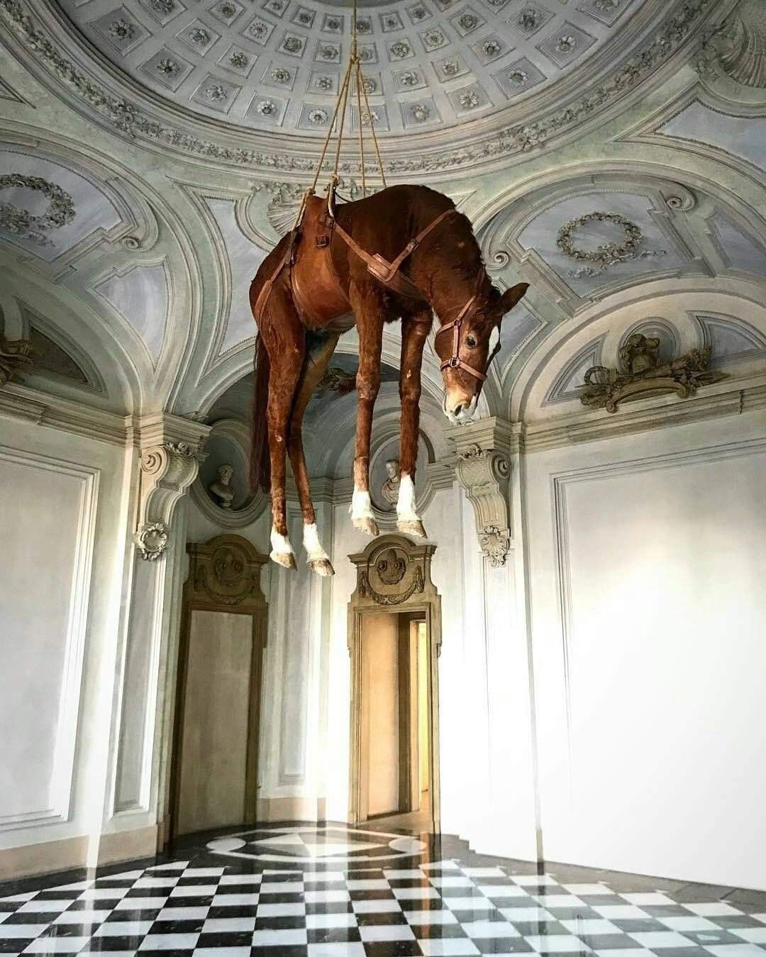 Maurizio Cattelan, Novecento (1997; cavallo in tassidermia, imbragatura in pelle, corda, 200 x 70 x 270 cm; Rivoli, Castello di Rivoli Museo d'Arte Contemporanea)
