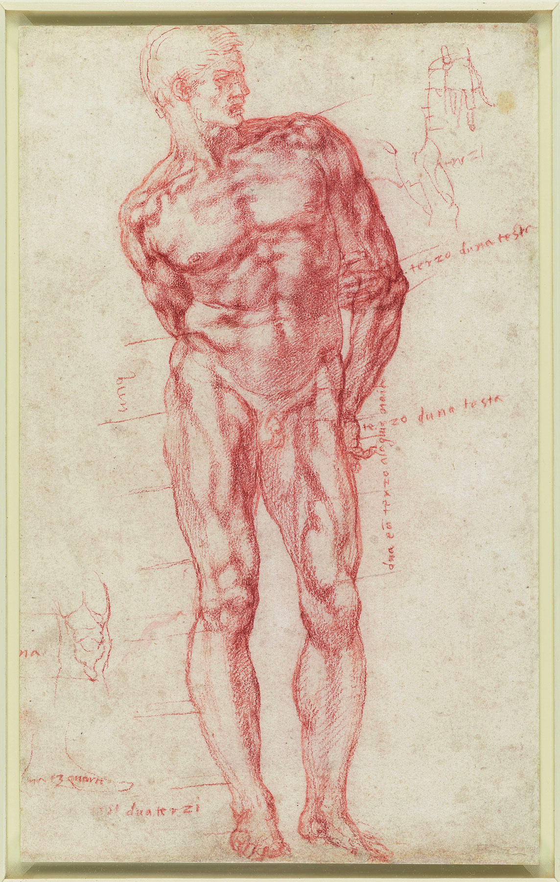 Michelangelo Buonarroti, Nudo maschile (1515-1520; pietra rossa con tracce di stilo su carta, 291 x 180 mm; Windsor, Royal Library)
